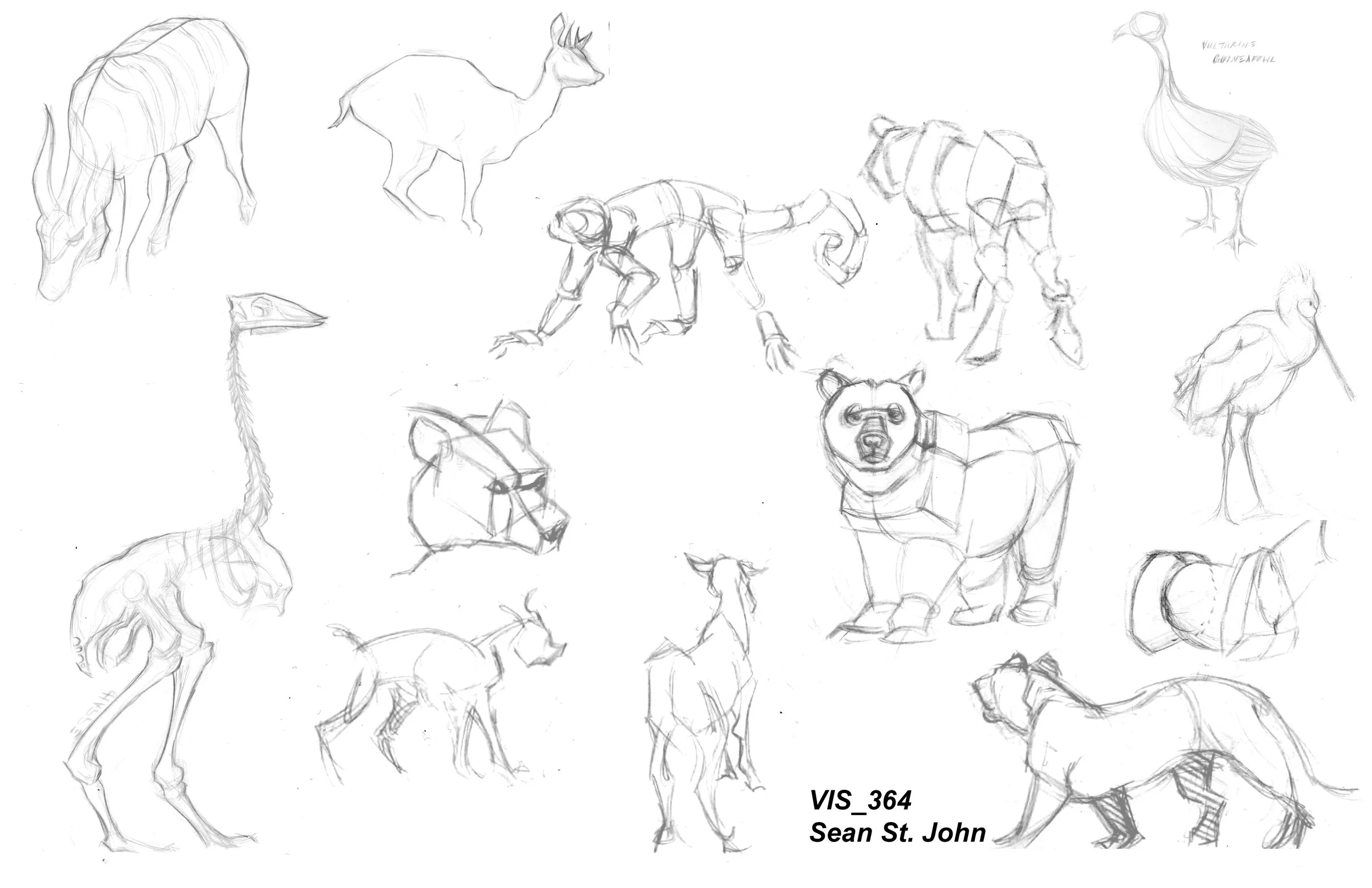 Animal Sketches.jpg