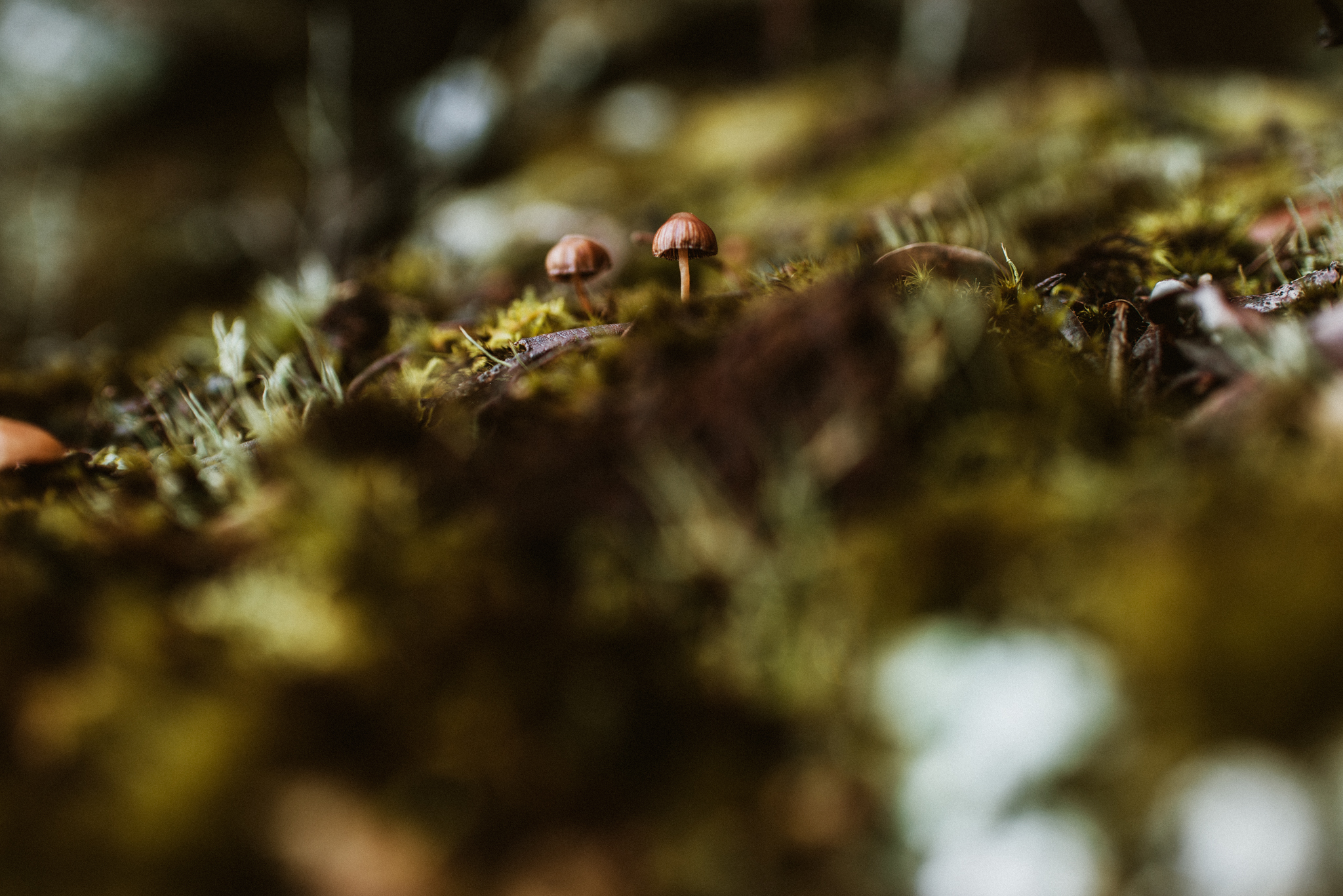 Here is a good example of moving yourself just slightly to get more of a balance. There's no real balance going on in this picture. Take a look at the next image.