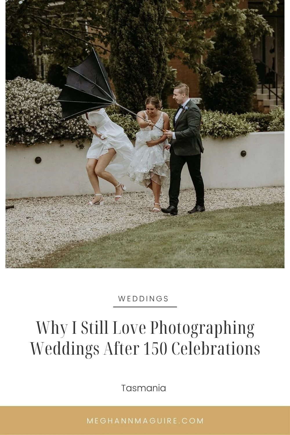 Why I Still Love Photographing Weddings After 150 Celebrations | Tasmanian Wedding Photographer