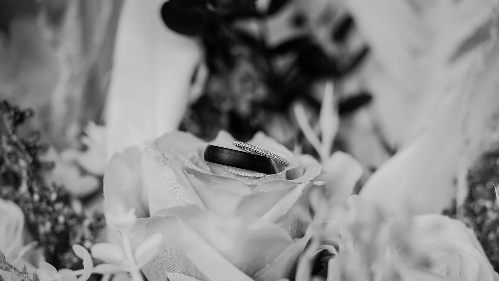 It's been a minute since I've shared on here&hellip; so here are a few black &amp; white favourites. 🤍
There's just something about black &amp; white photos. They have a way of bringing you back to the feeling of the moment&mdash;the laughs, the hap