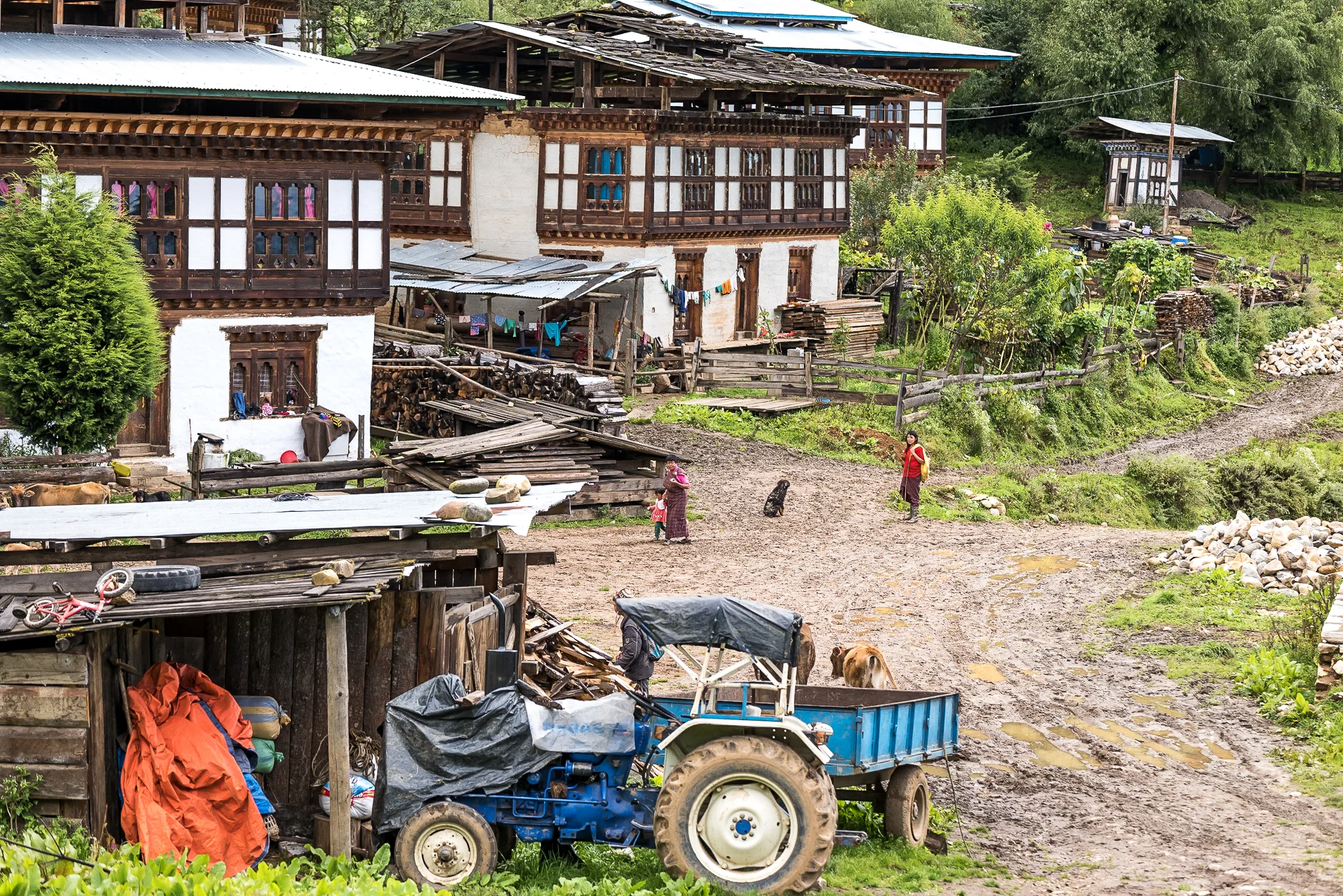 20171001_Bhutan_L1150490.jpg