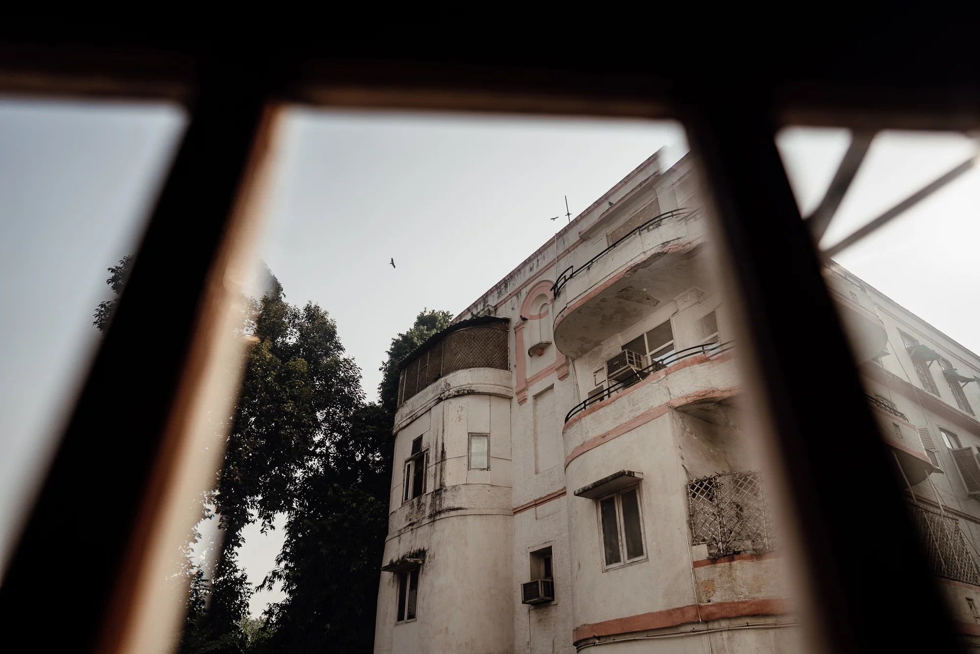 20181111_India Pushkar Camel Fair__DSC8486.jpg