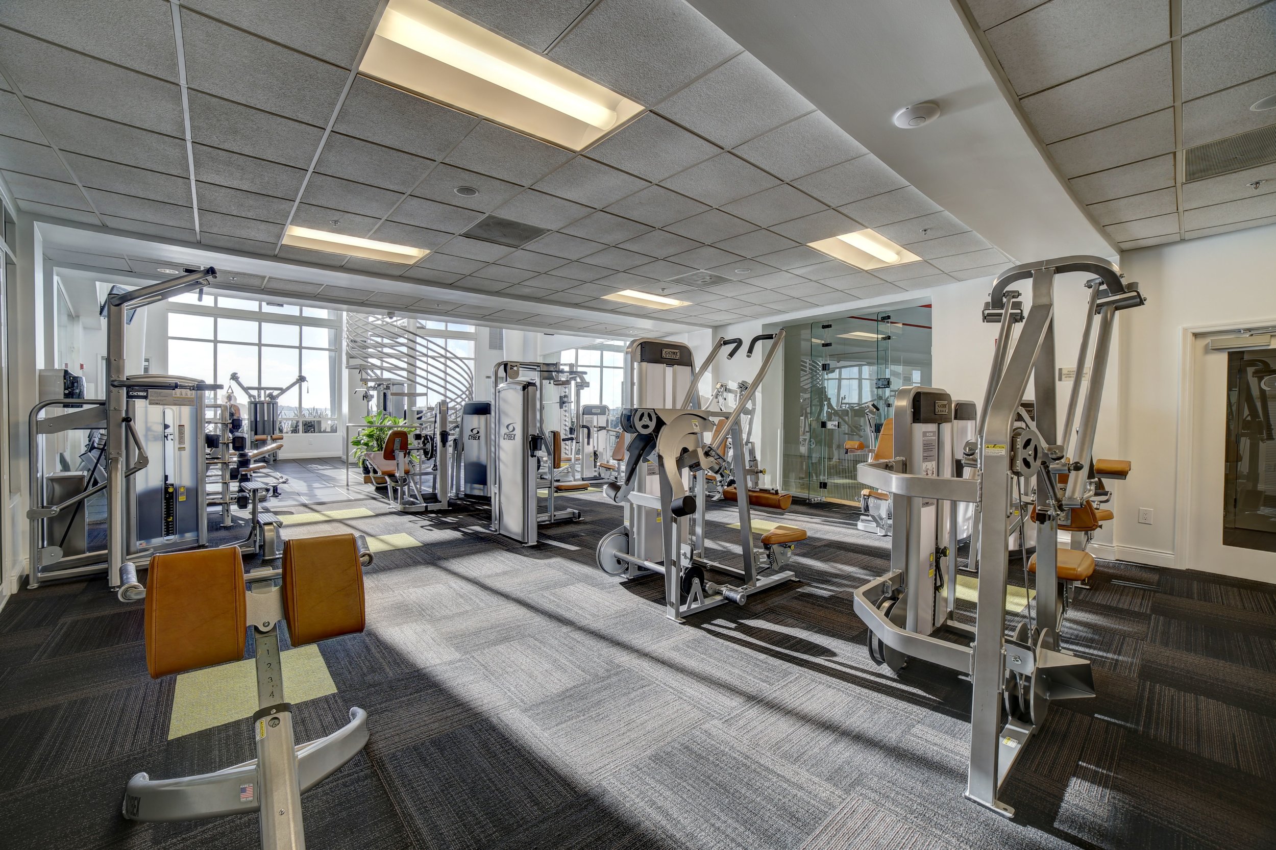 gym_1.jpg