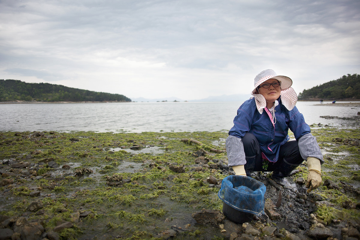 Clam Fishing