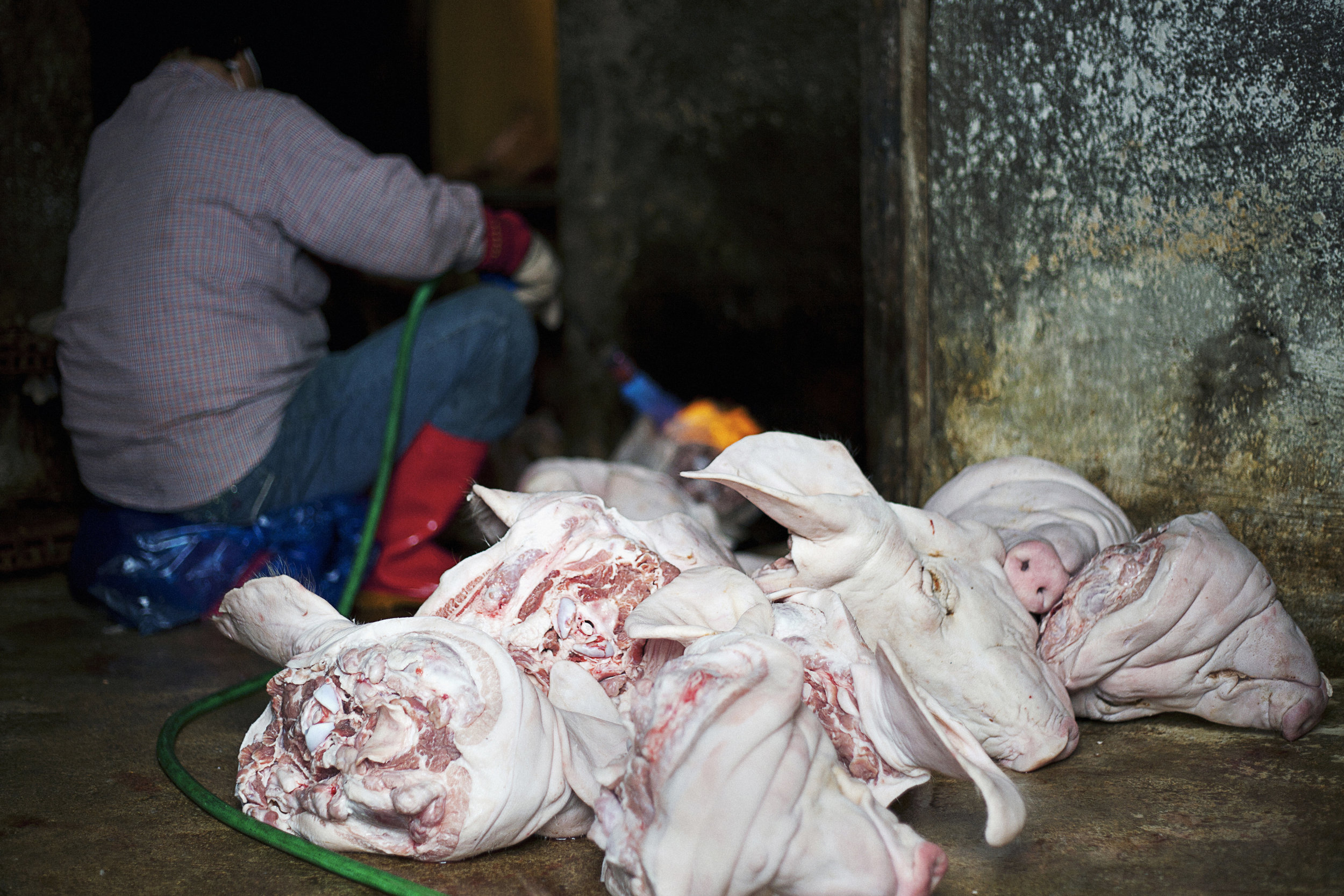 Woman Torching Pig Heads in Market