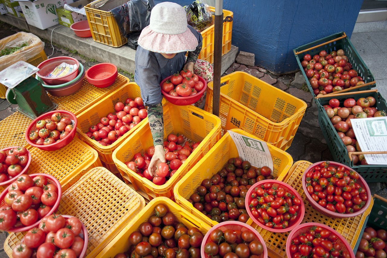 Tomato Vendor