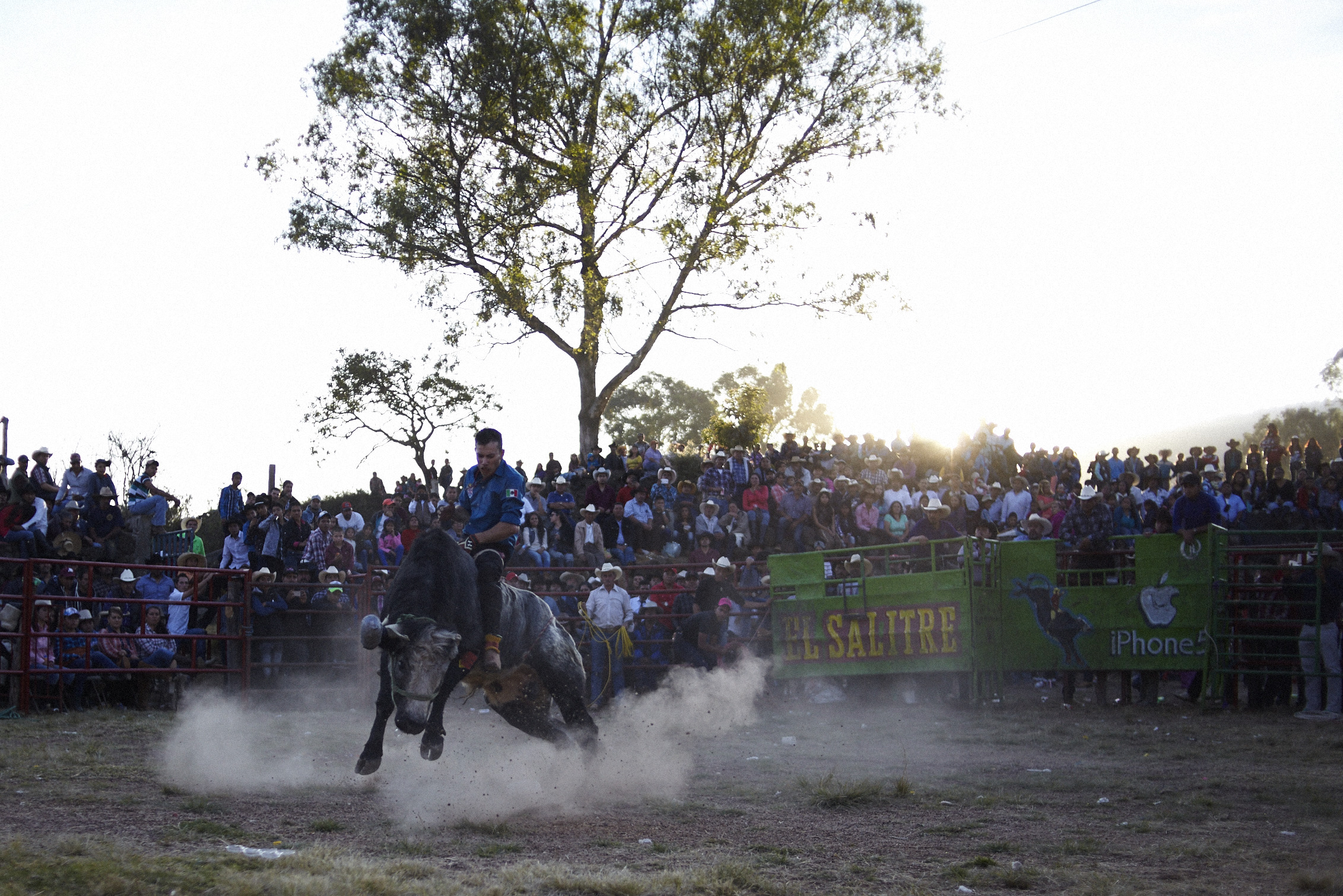 Bull Rider