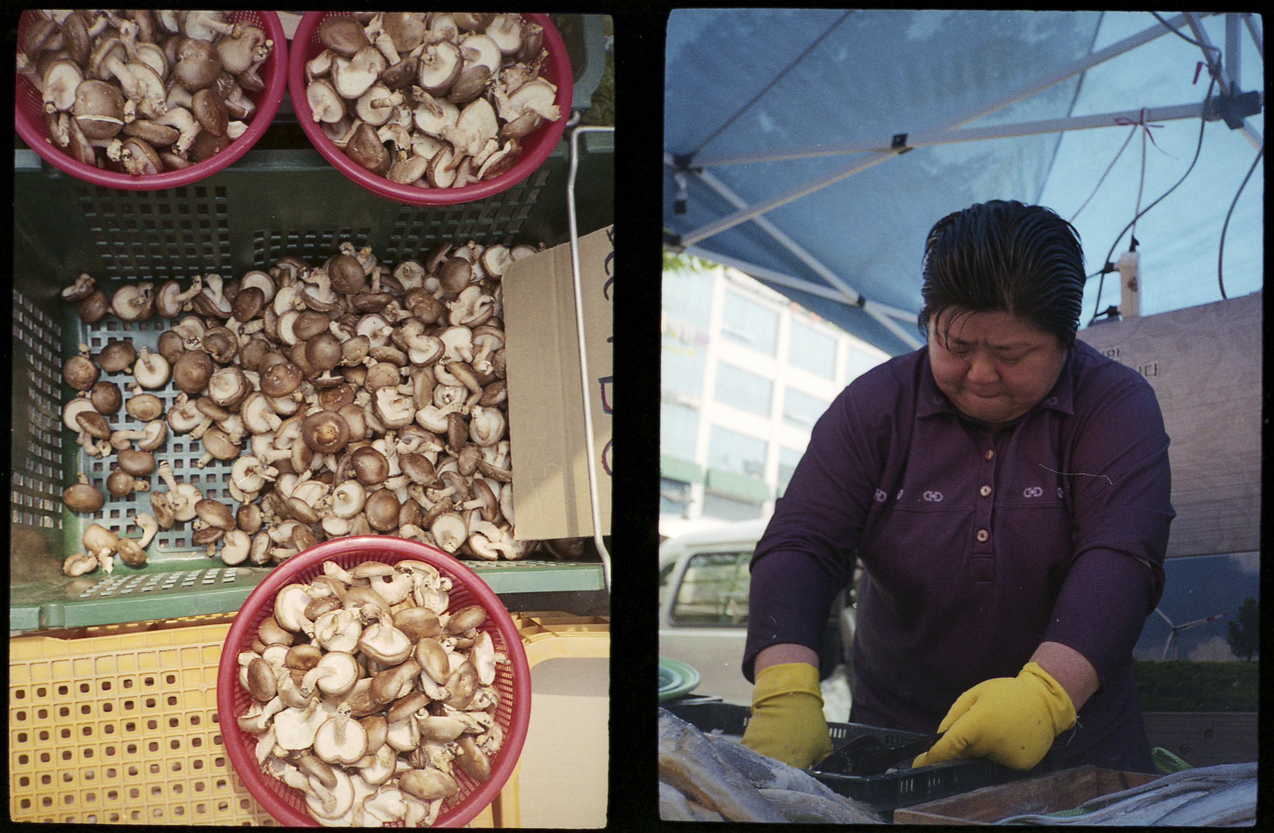 Mushrooms and Fish Vendor