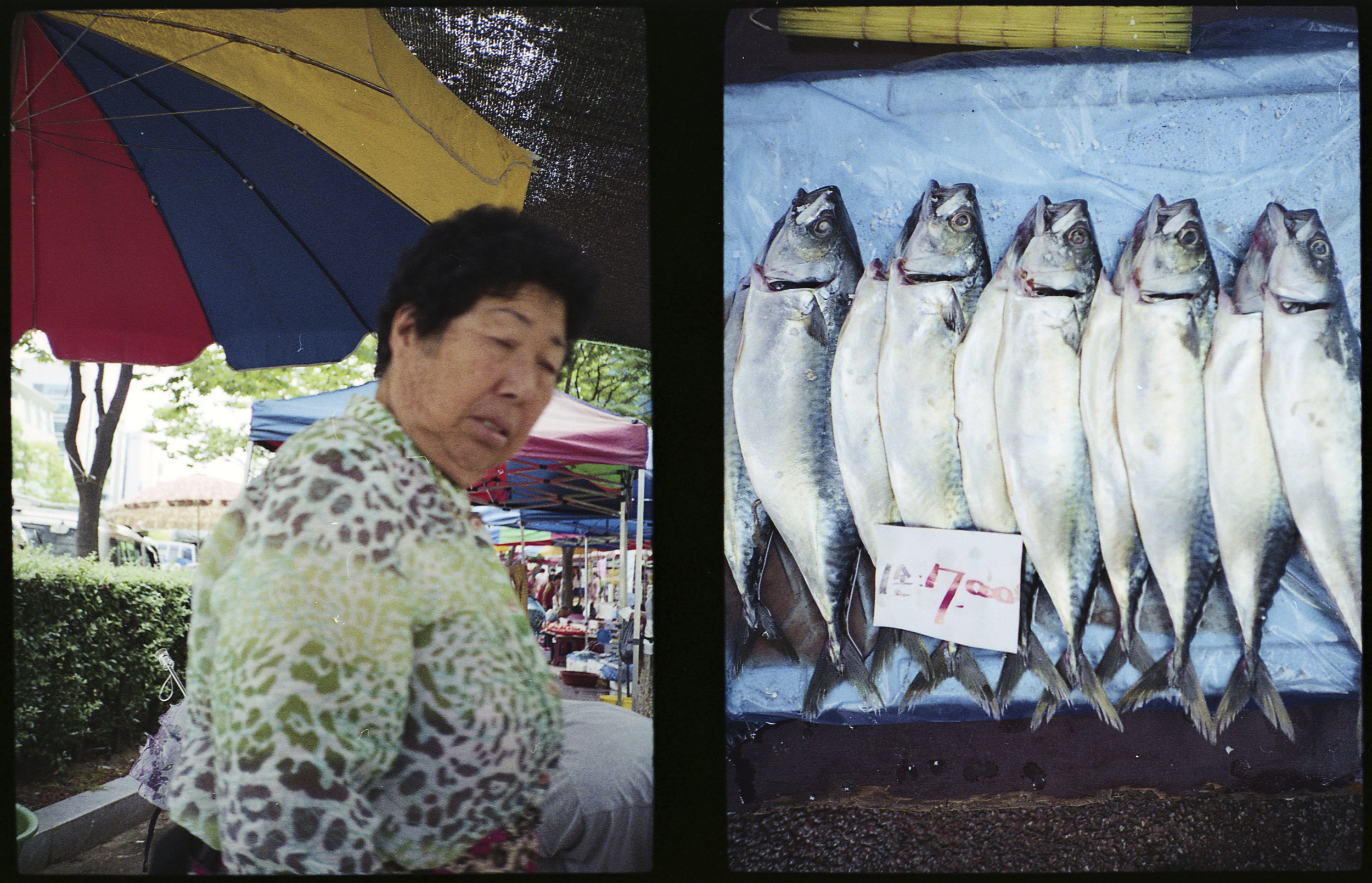 Ajumma and Fish For Sale