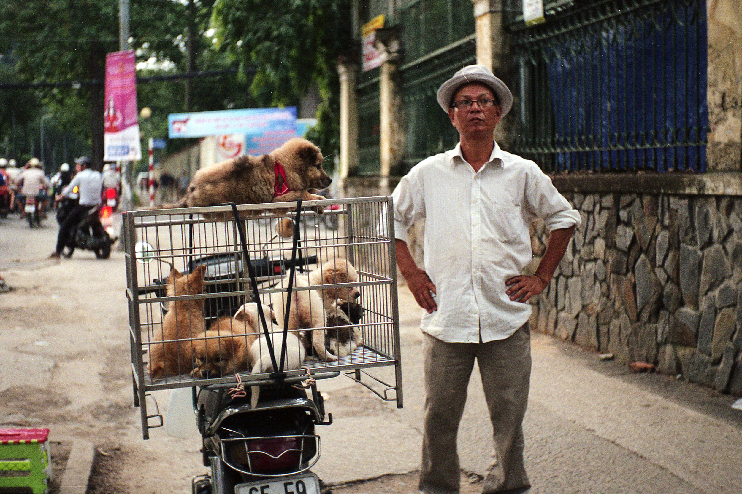 Saigon Pet Shop