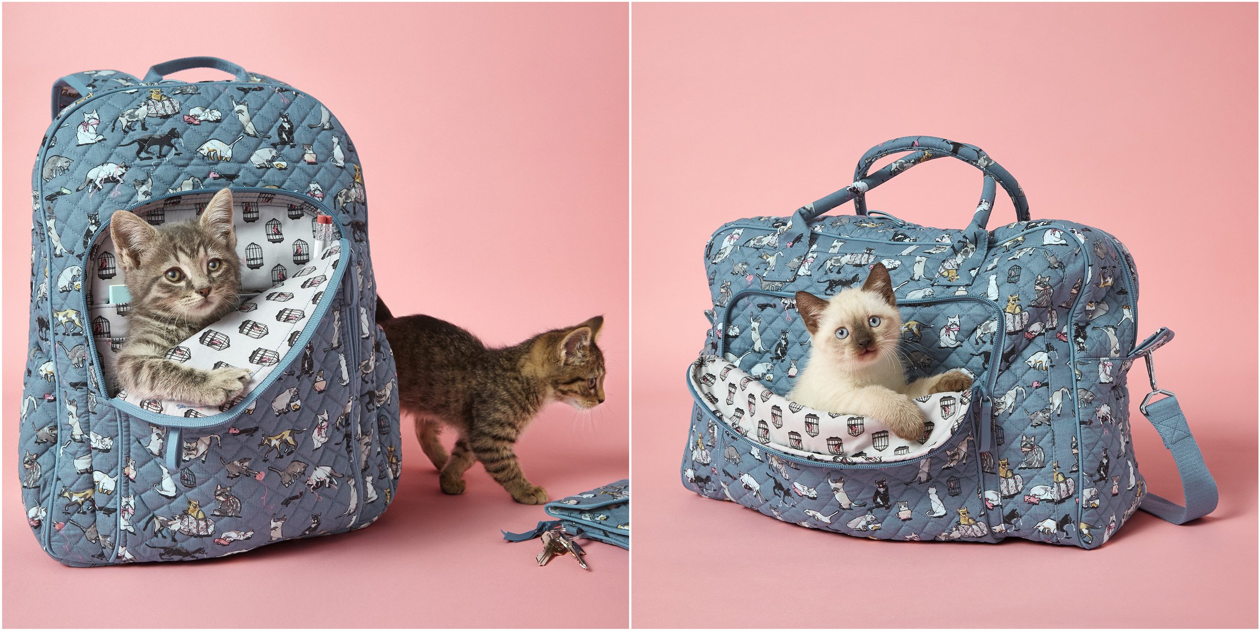 F19_CatsMeow_CampusBackpack_413.jpg