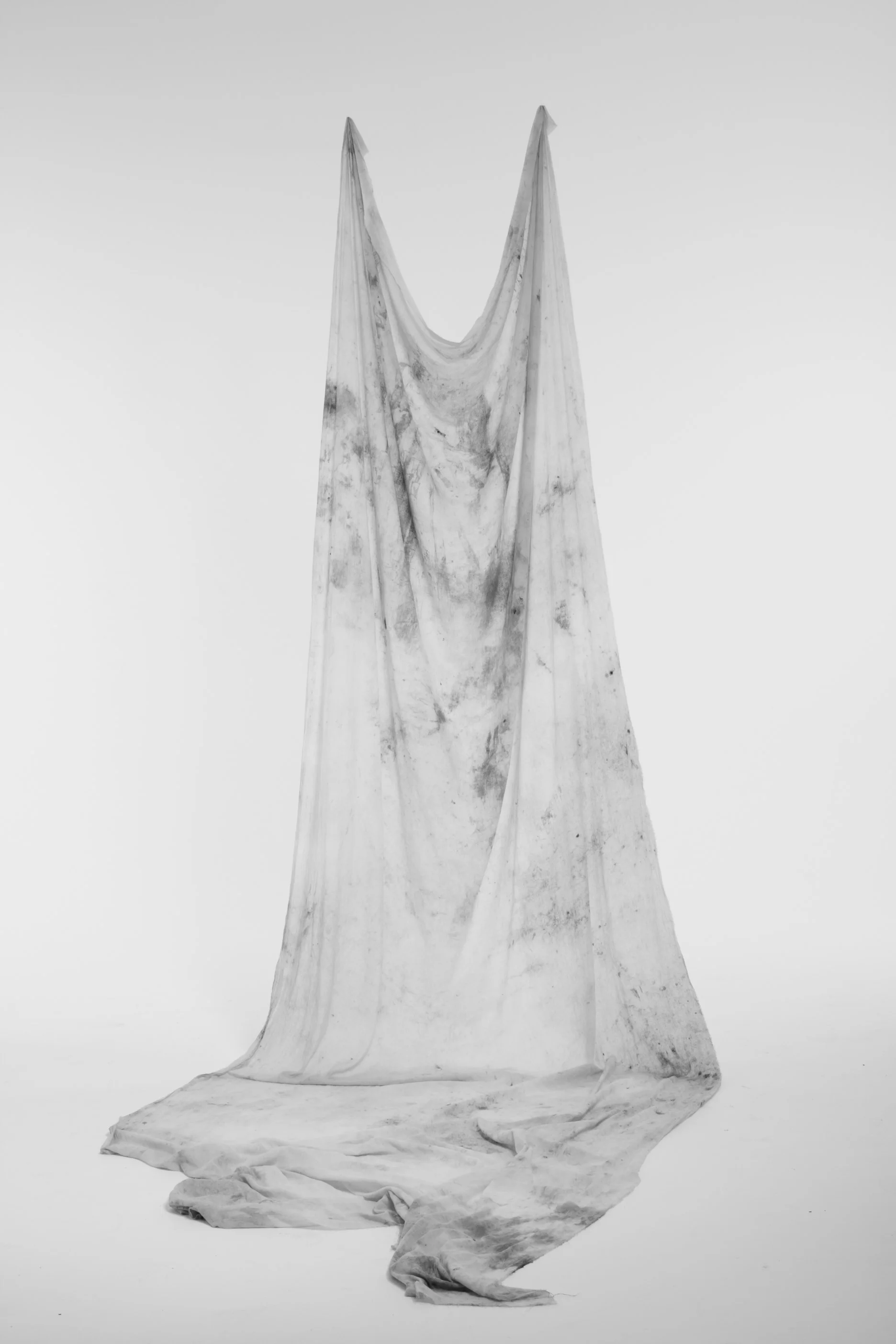 FORM