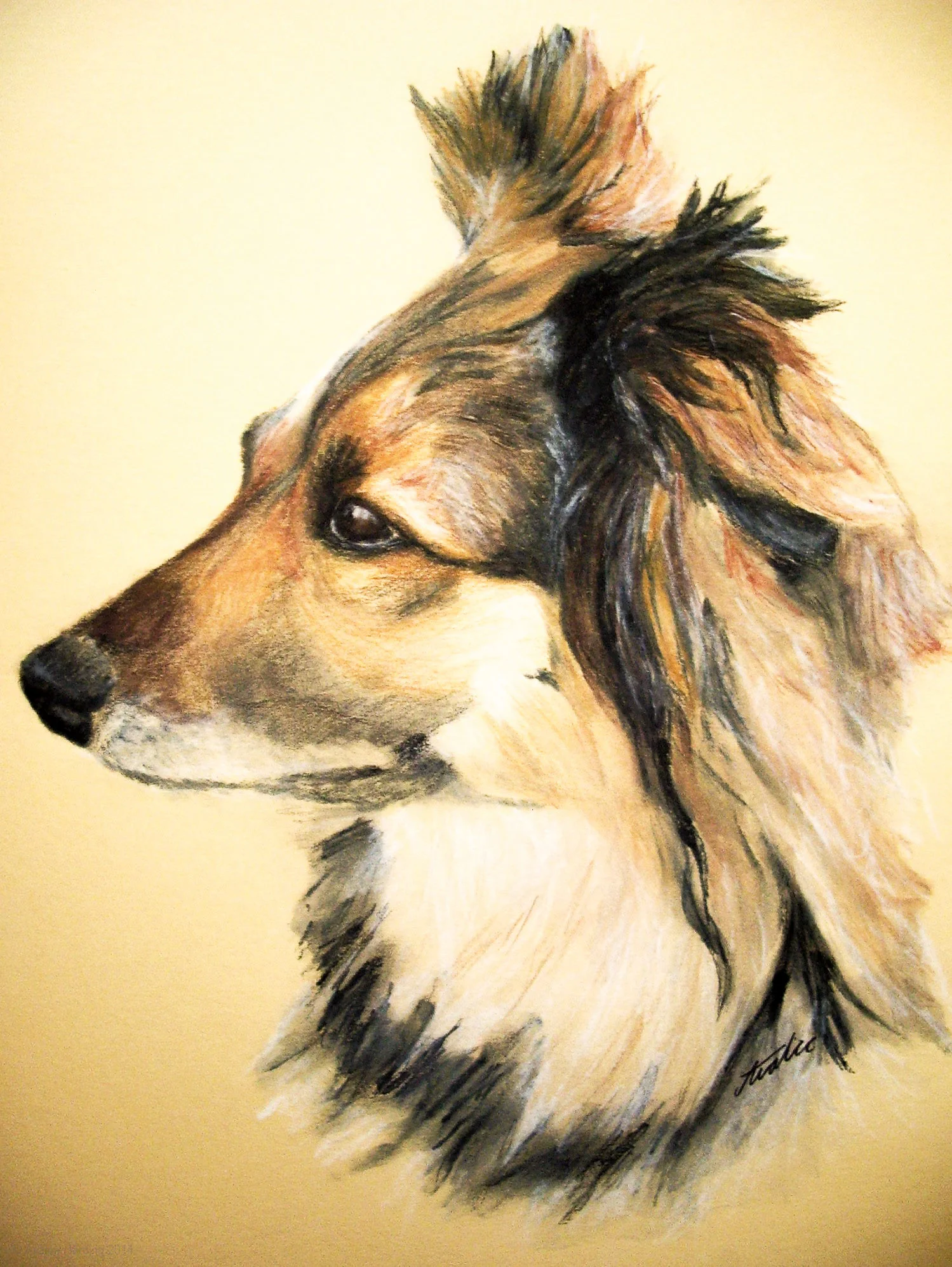 Sadie