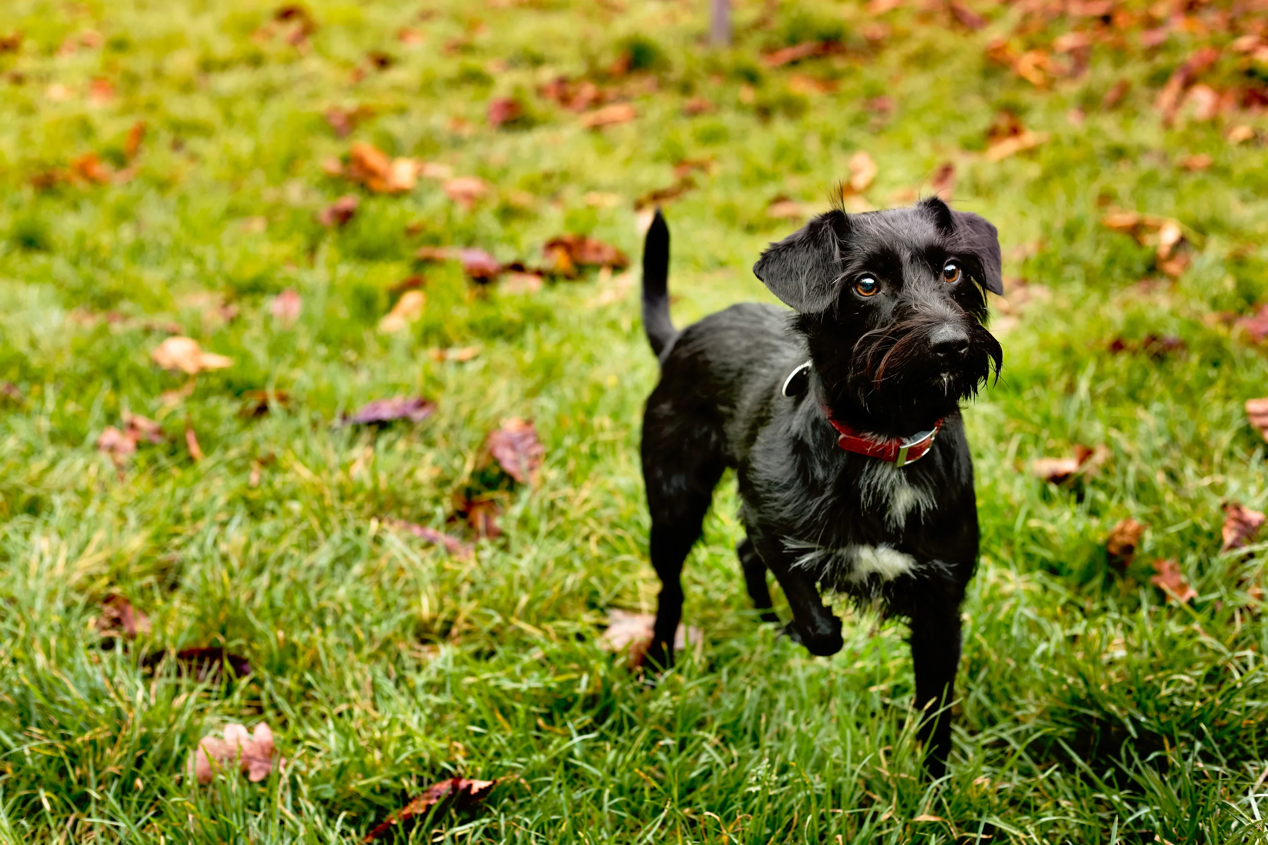 Kleine Erinnerung - am 17.01.2015 ist Tag der Offenen Tür