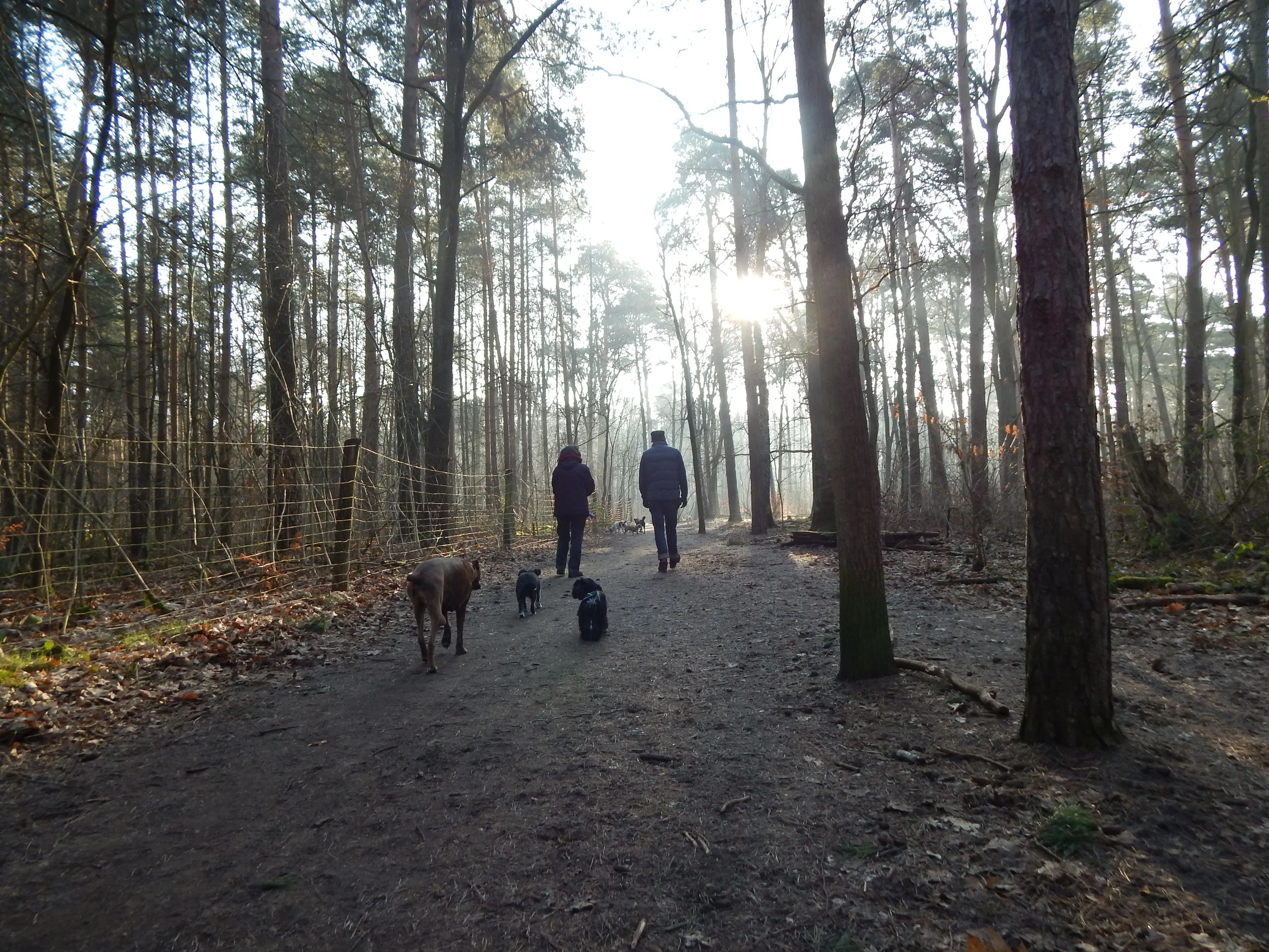 Der Frühe Vogel kann uns mal !