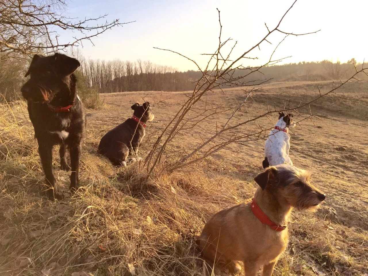 Flexibilität - ein dehnbarer Begriff!