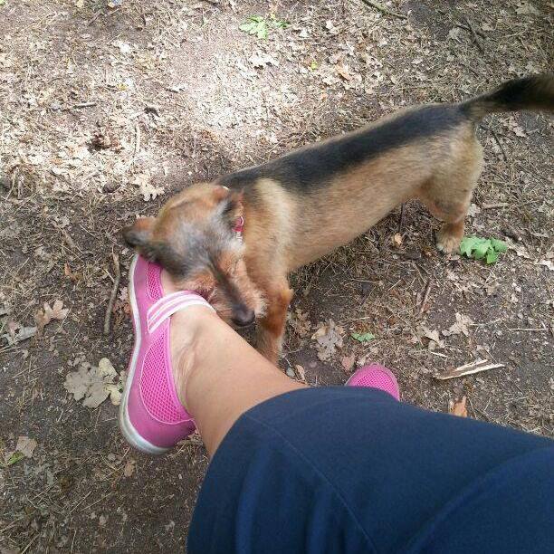 Leila will kuscheln