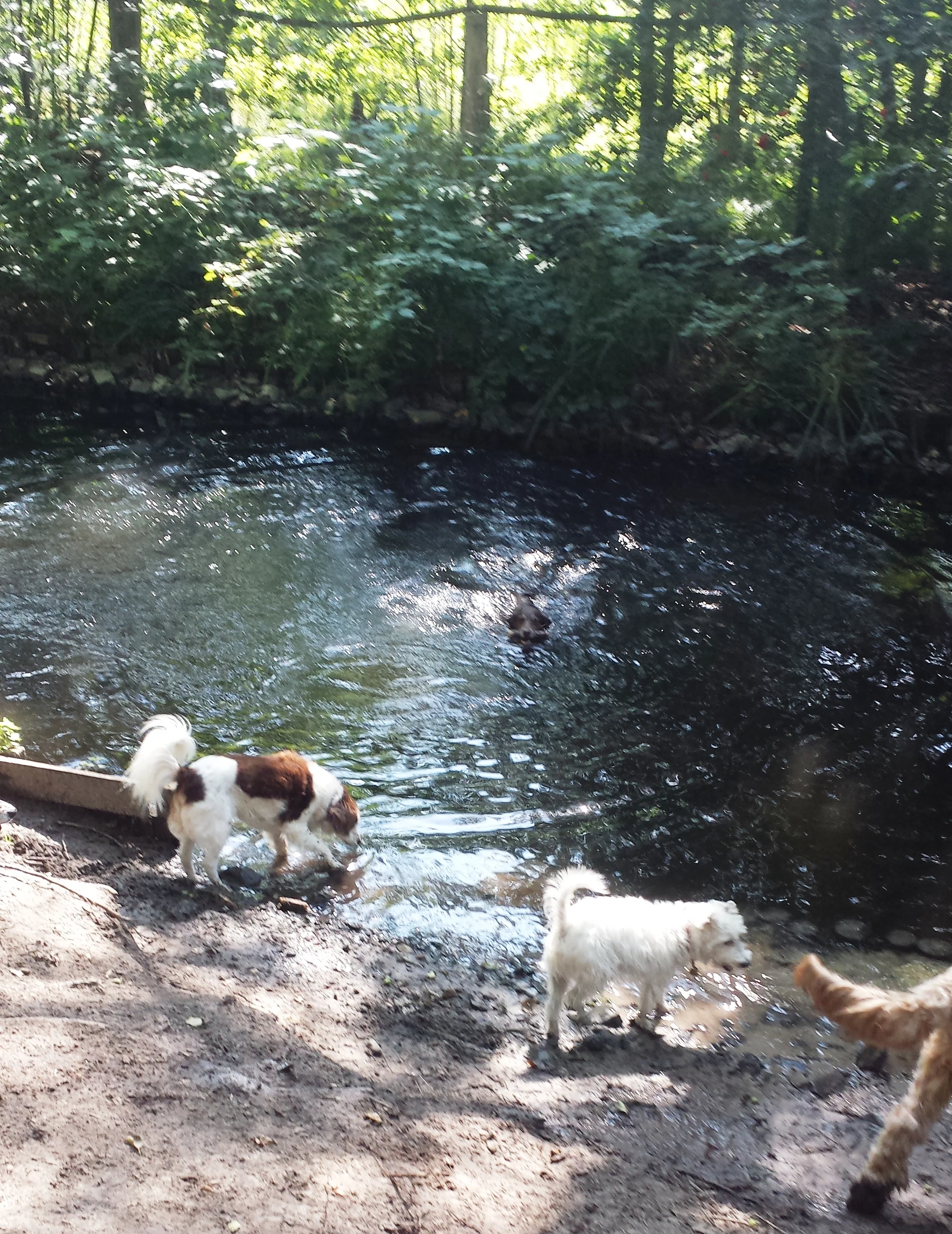 20150820_145556.jpg