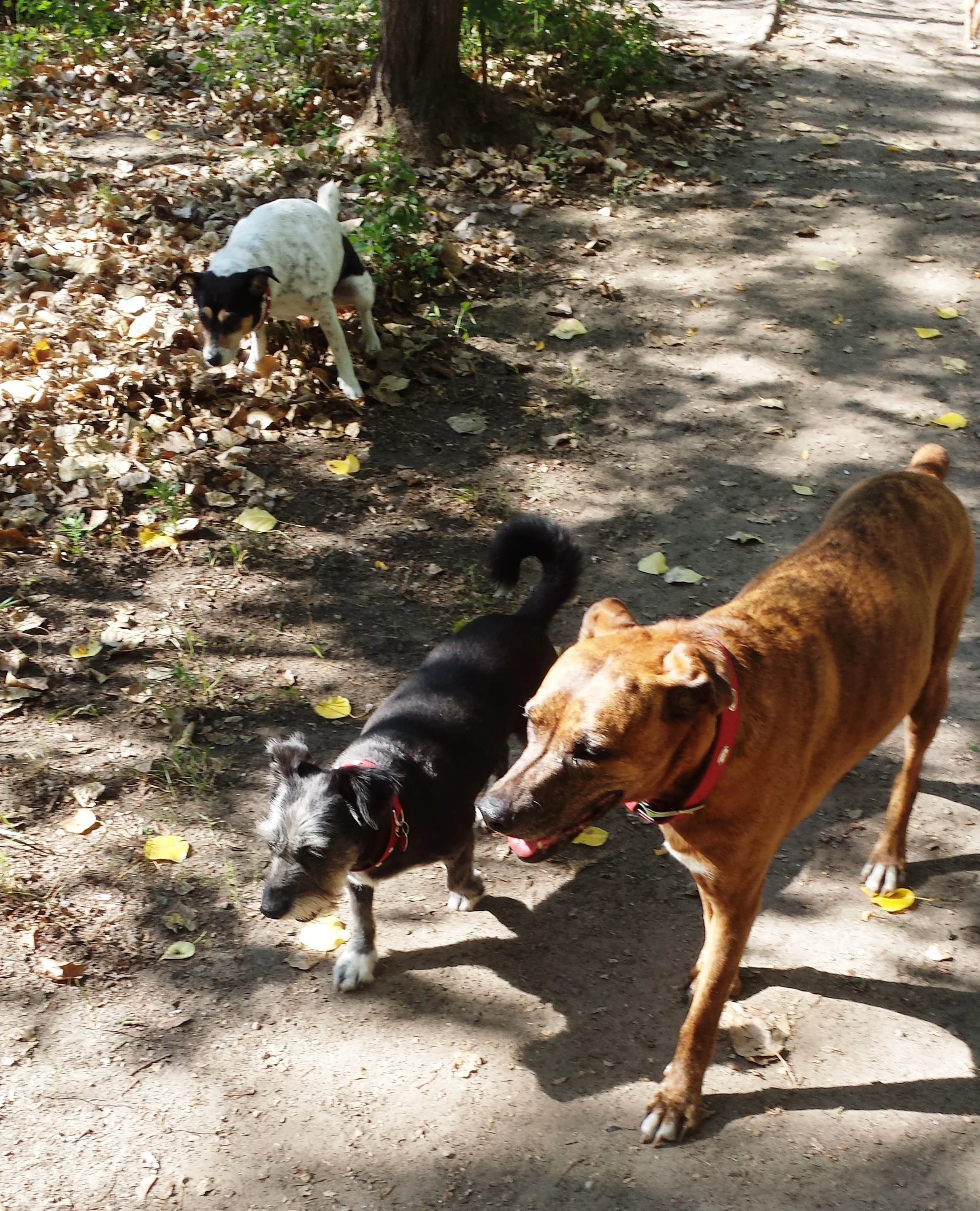 20150820_102659.jpg