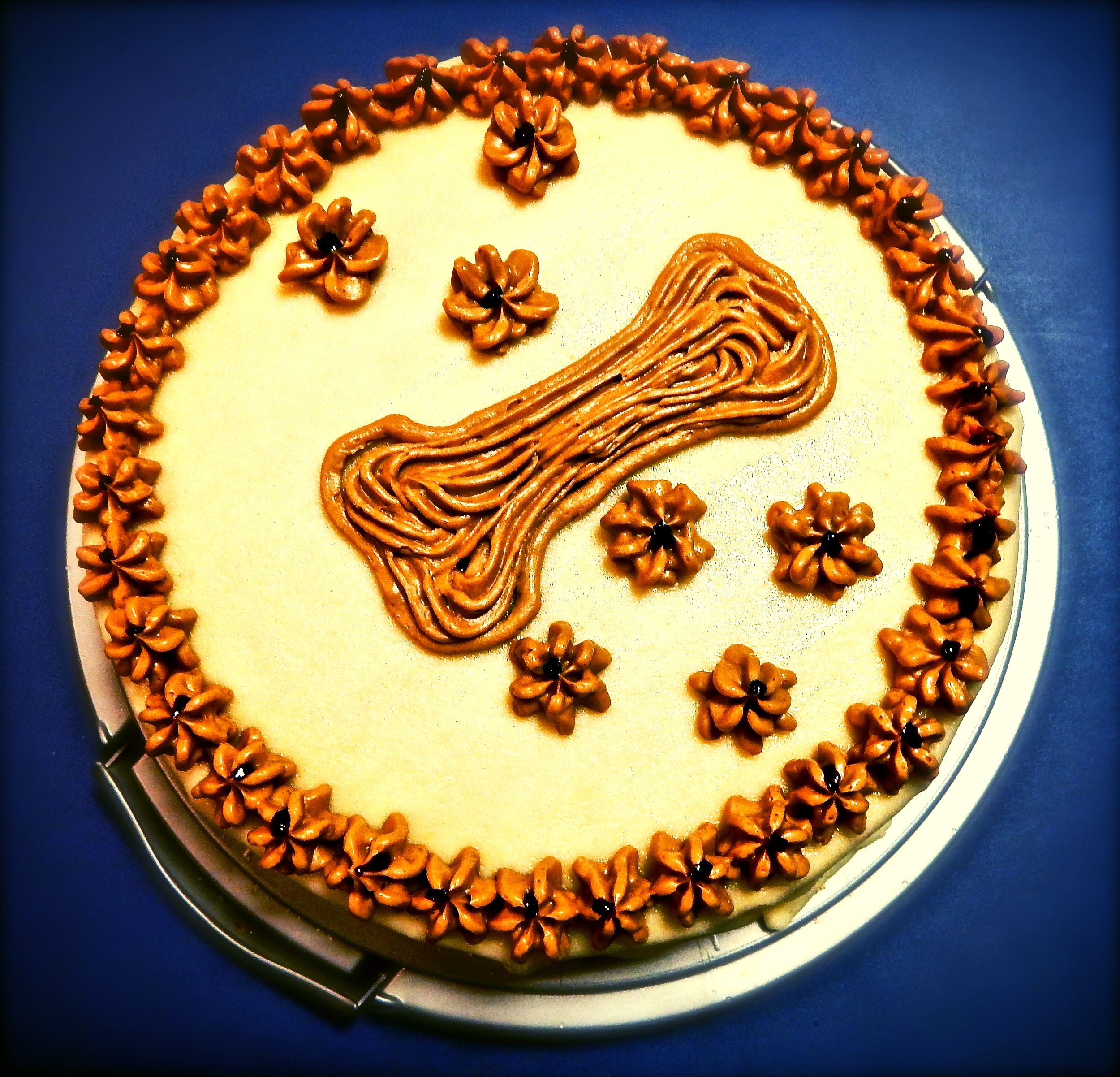 Ein Jahr alt und sogar schon stubenrein!