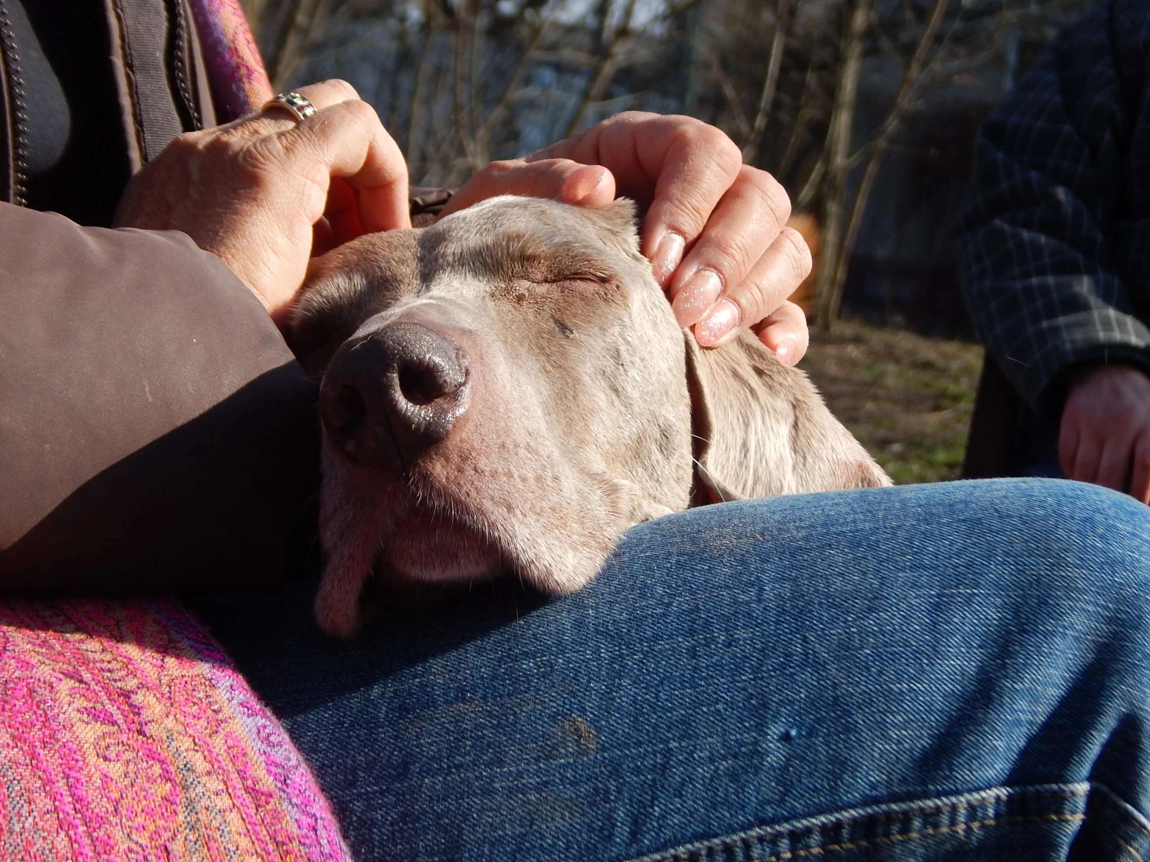 15.03.2016 Hundeplatz 072.JPG