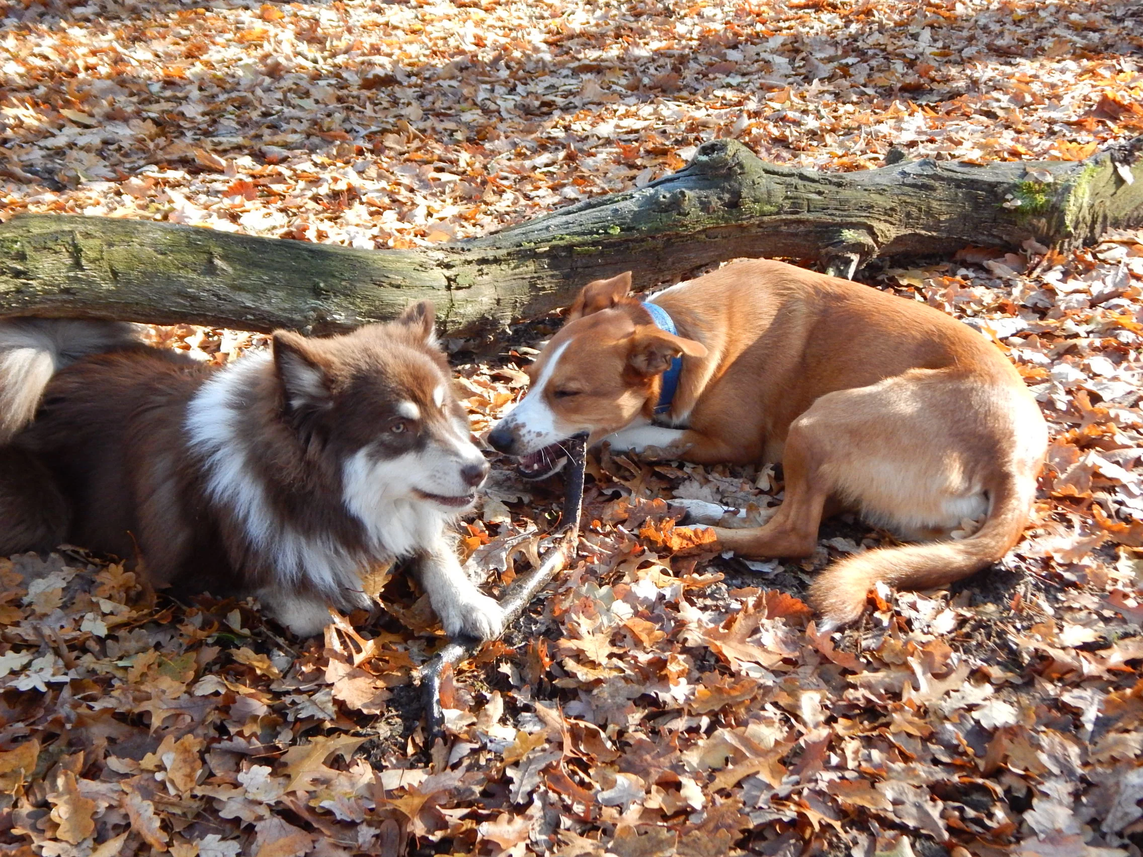 DSCN8570.JPG