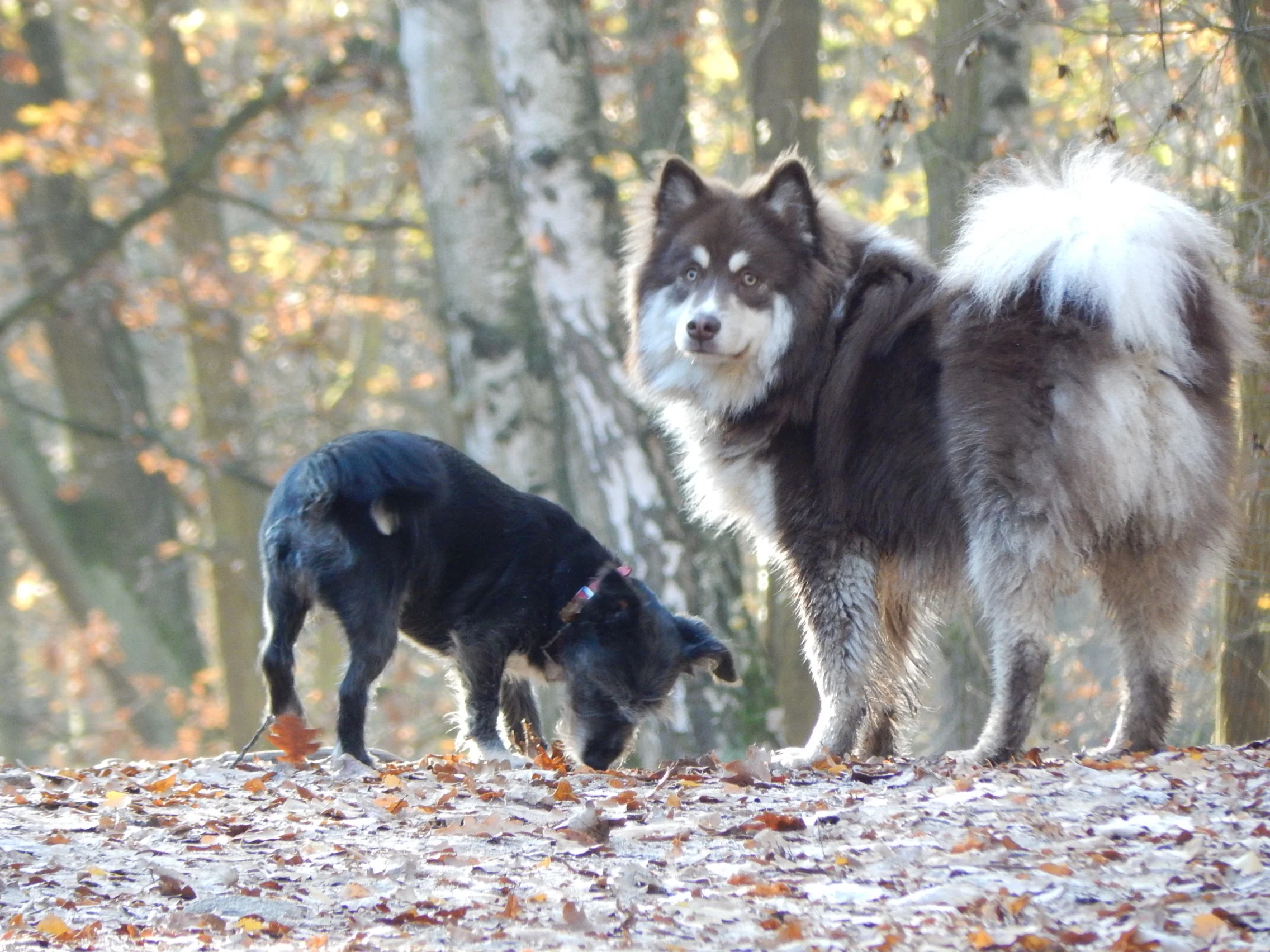 DSCN8628.JPG