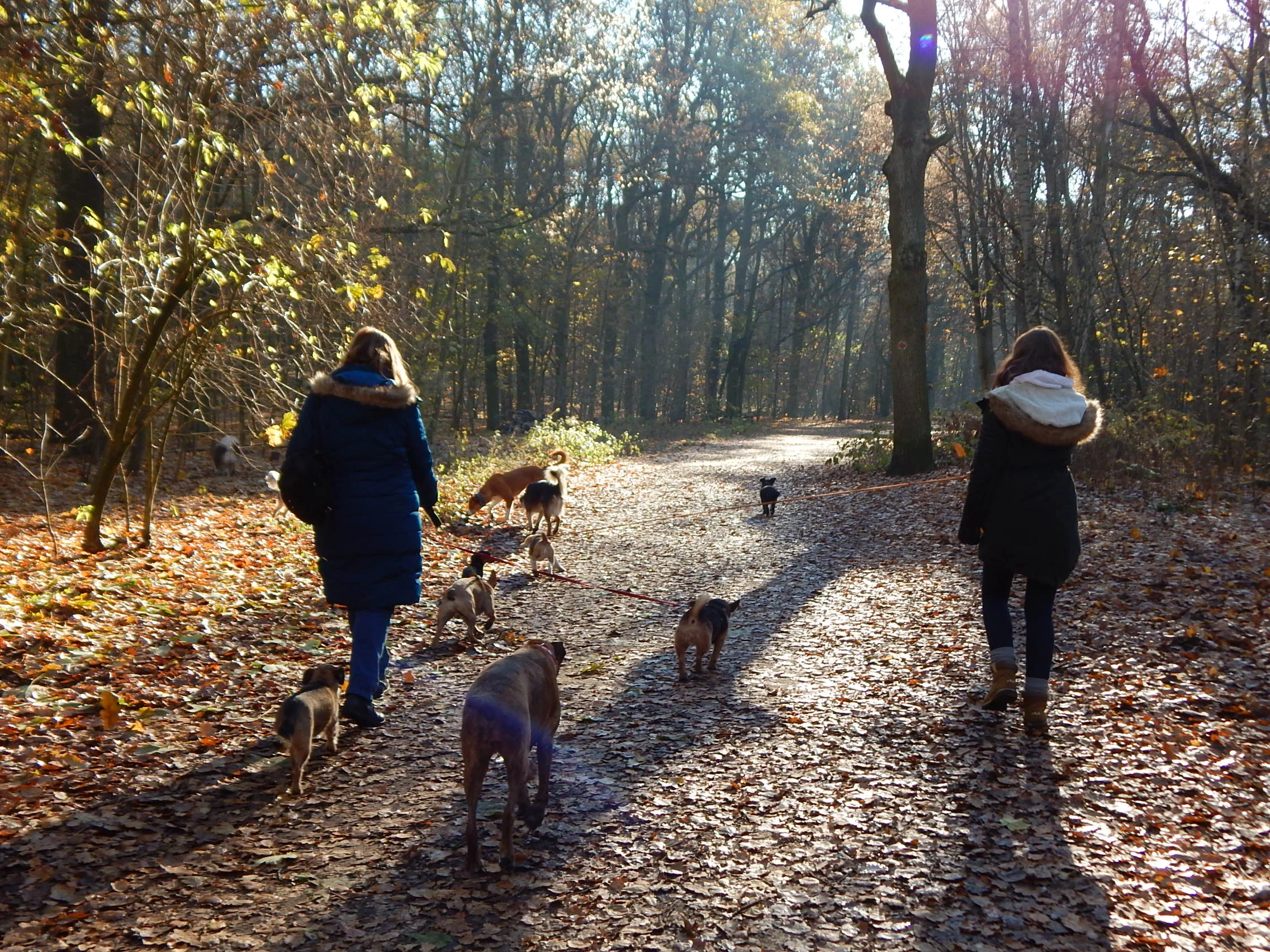 Einladung zum Herbstumtrunk