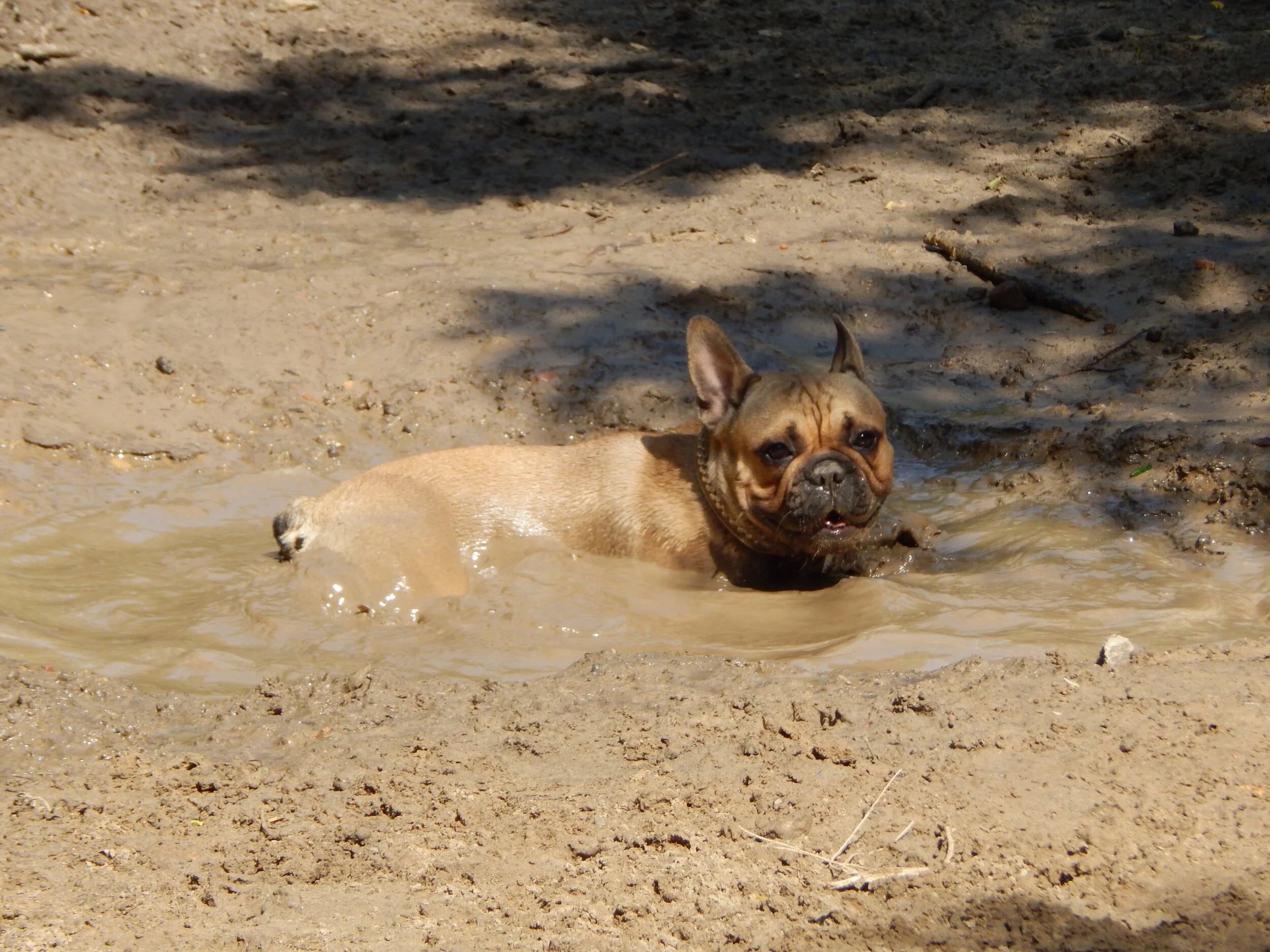 Nicht nur die Ferienzeit beginnt