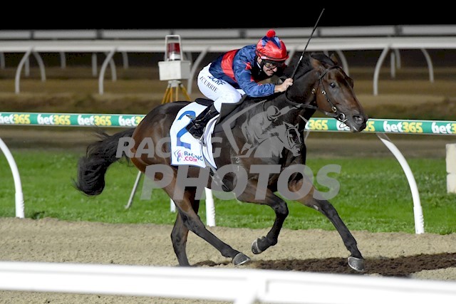 Barwon heads to Flemington tomorrow to contest the 2800m Singapore Turf Club Trophy. He has now scored twice for us from just four starts. It is a stiff step up in grade after his win at Pakenham two weeks ago but he carries a low weight and is in great shape. We believe that he will relish the distance and is certainly bred to do so by Reset and out of a half sister to the great stayer Zipping. He is very progressive and with this being only his sixth career start, we have plenty to look forward to.