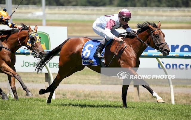 After being runner up on two previous occasions, Slithering Suzie won her maiden at Ballerat today. Congratulations to her owner-breeders Lloyd and Wendy Hick, who have been wonderfully patient allowing the the Golden Snake filly plenty of time to mature. We will ook forward to seeing further improvement as she steps up in distance and when she gets onto some softer tracks.