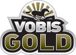Vobis GOld Transparent.jpeg