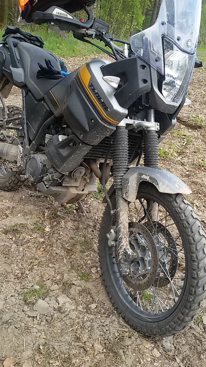 20170429_152103.jpg