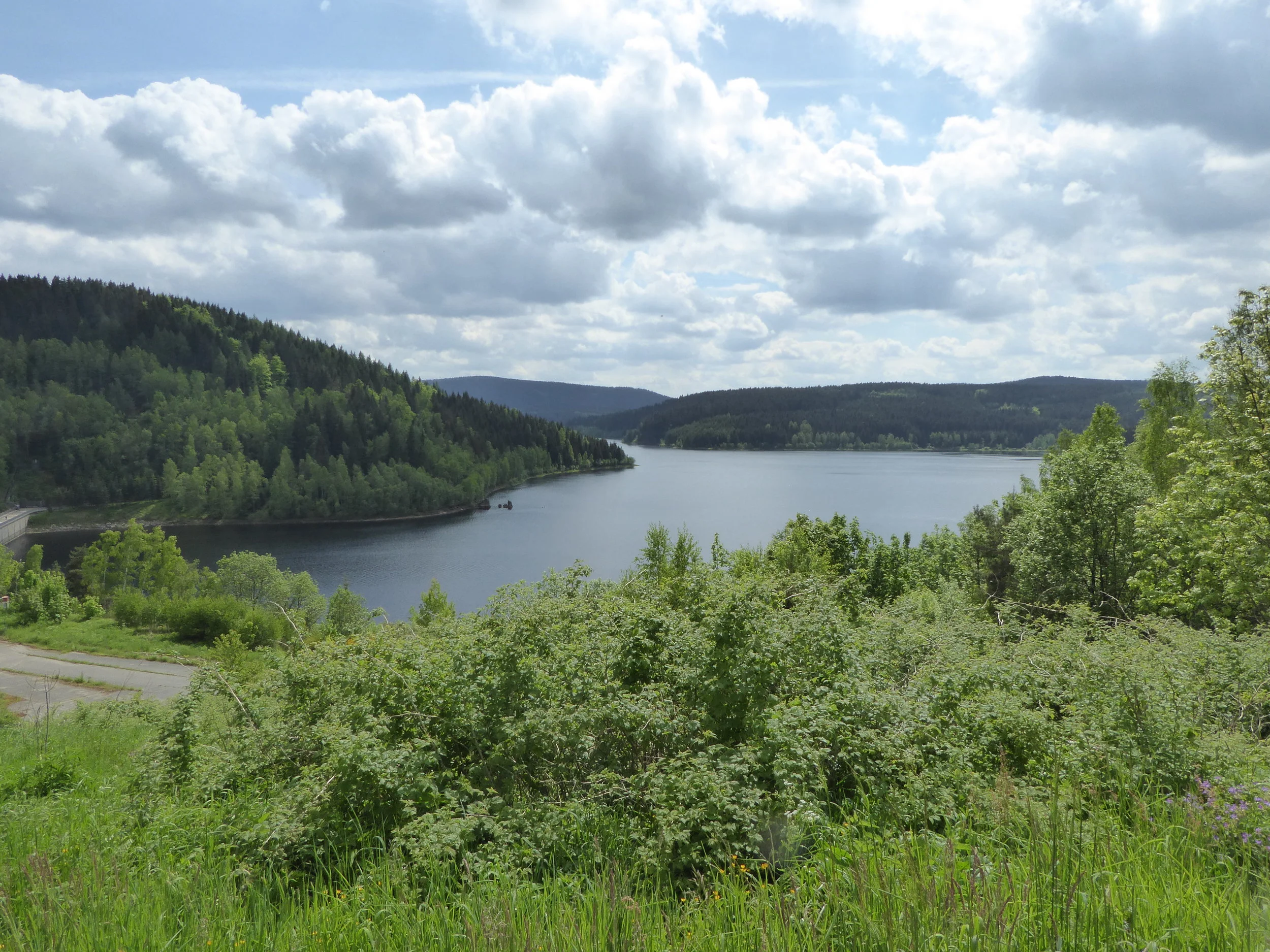 P1000290.JPG