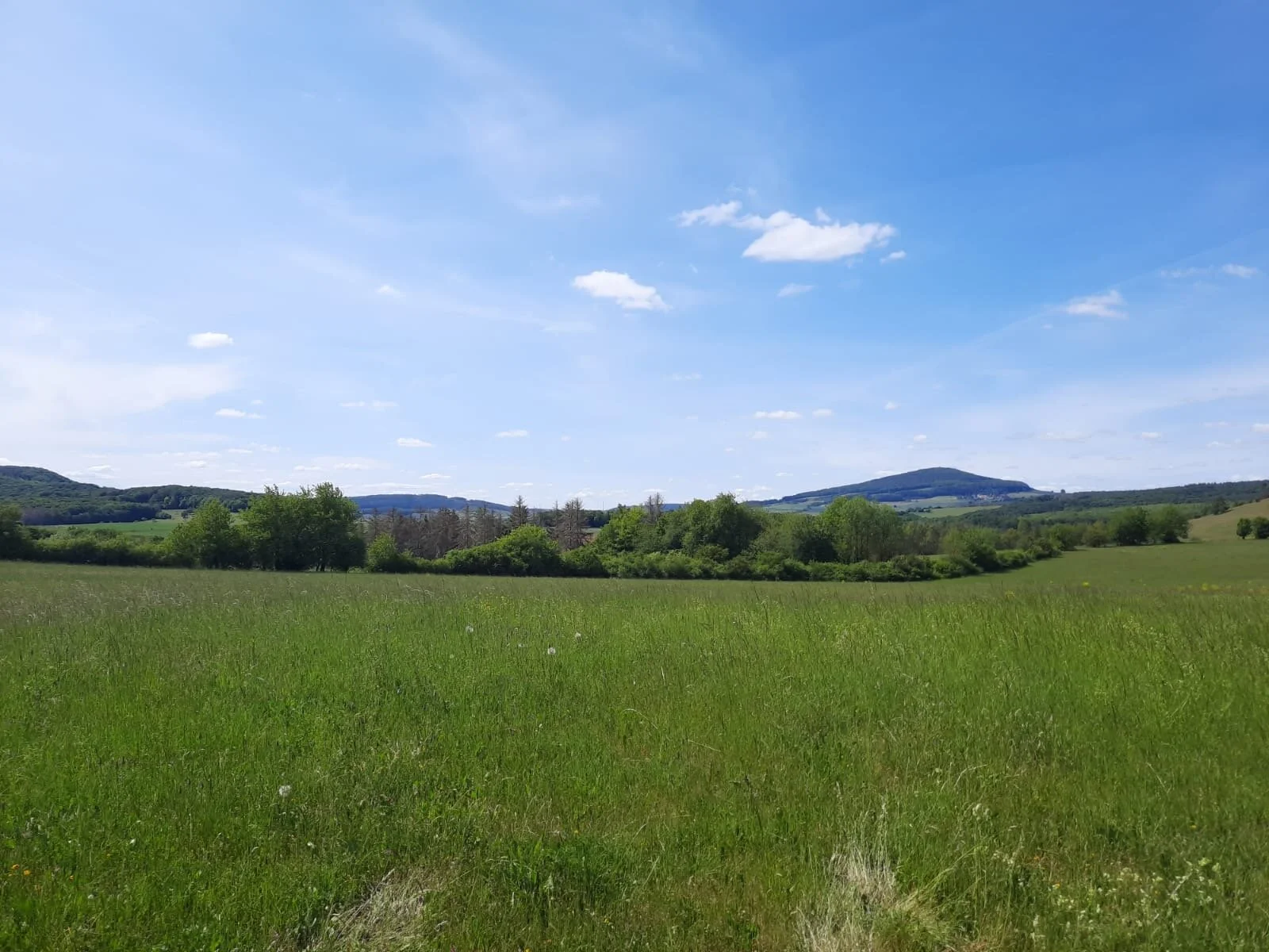 fd8d4c47-677e-4e93-96a6-e8841632760d 2.JPG