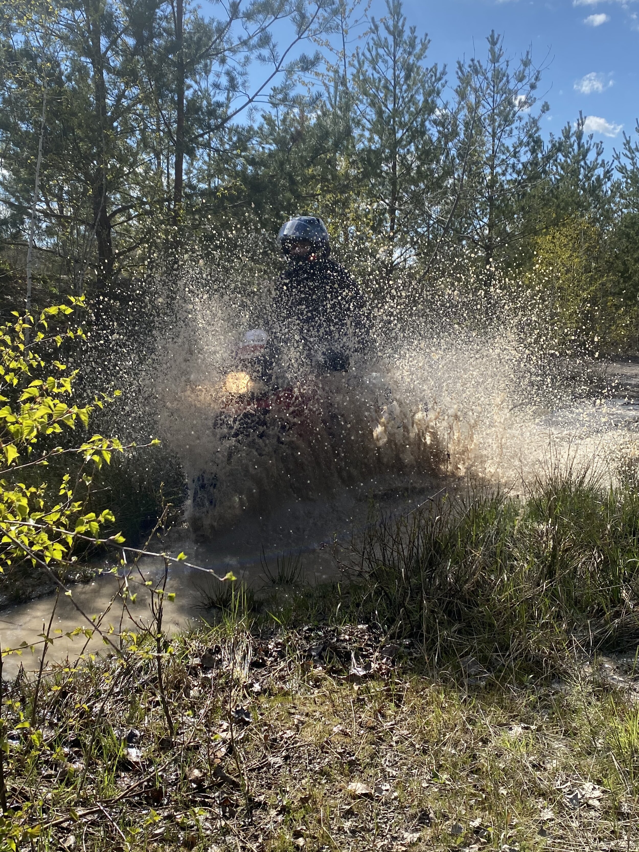 Eva - 2E91E622-7365-4229-BF23-067F2866861E.jpeg