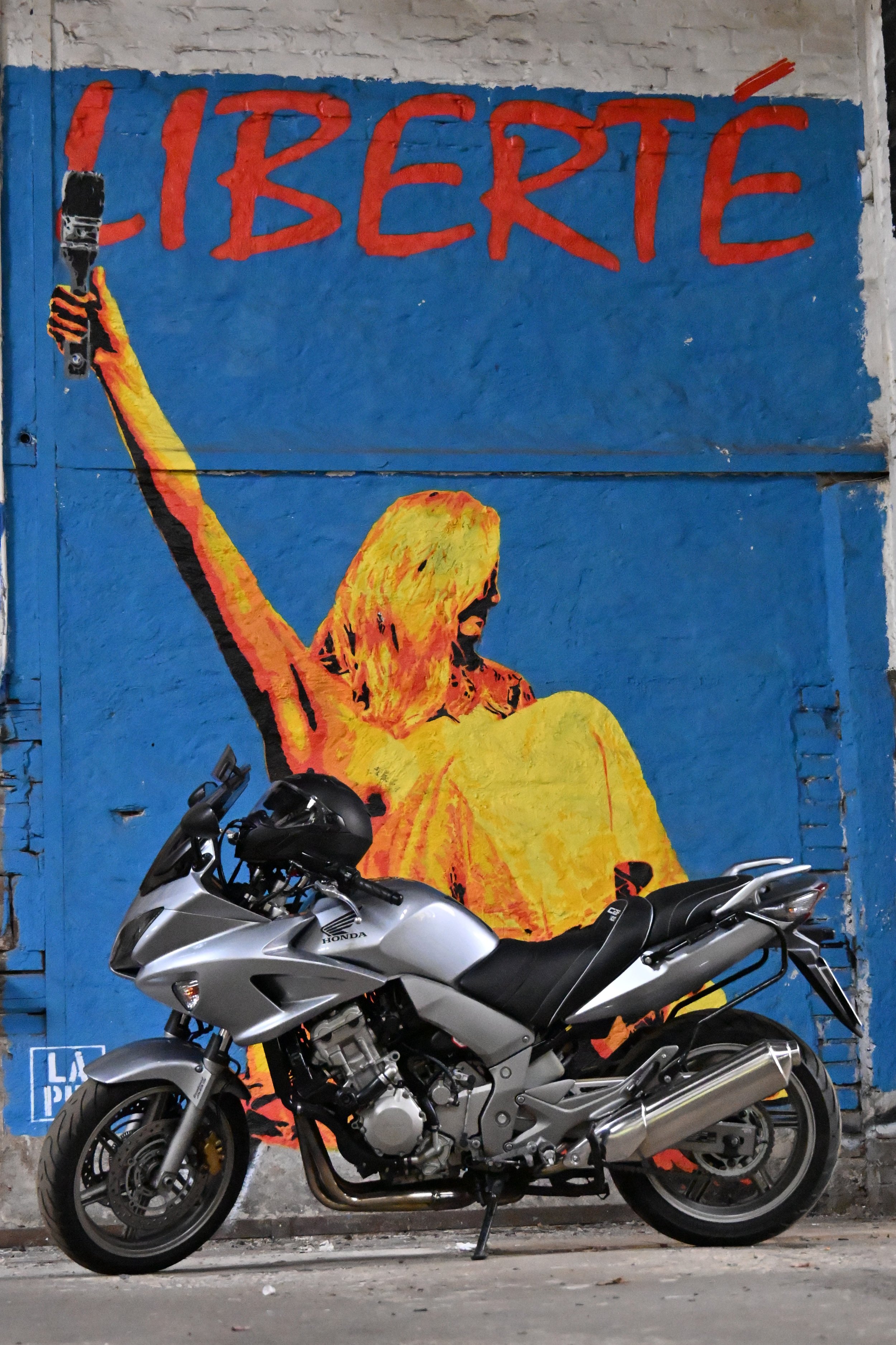 DSC_0805.JPG