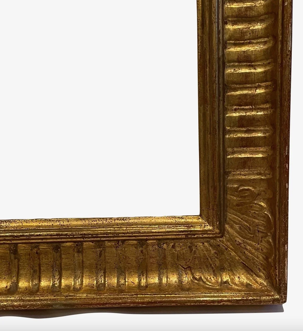 Image 1-21-22 at 3.21 PM.jpeg