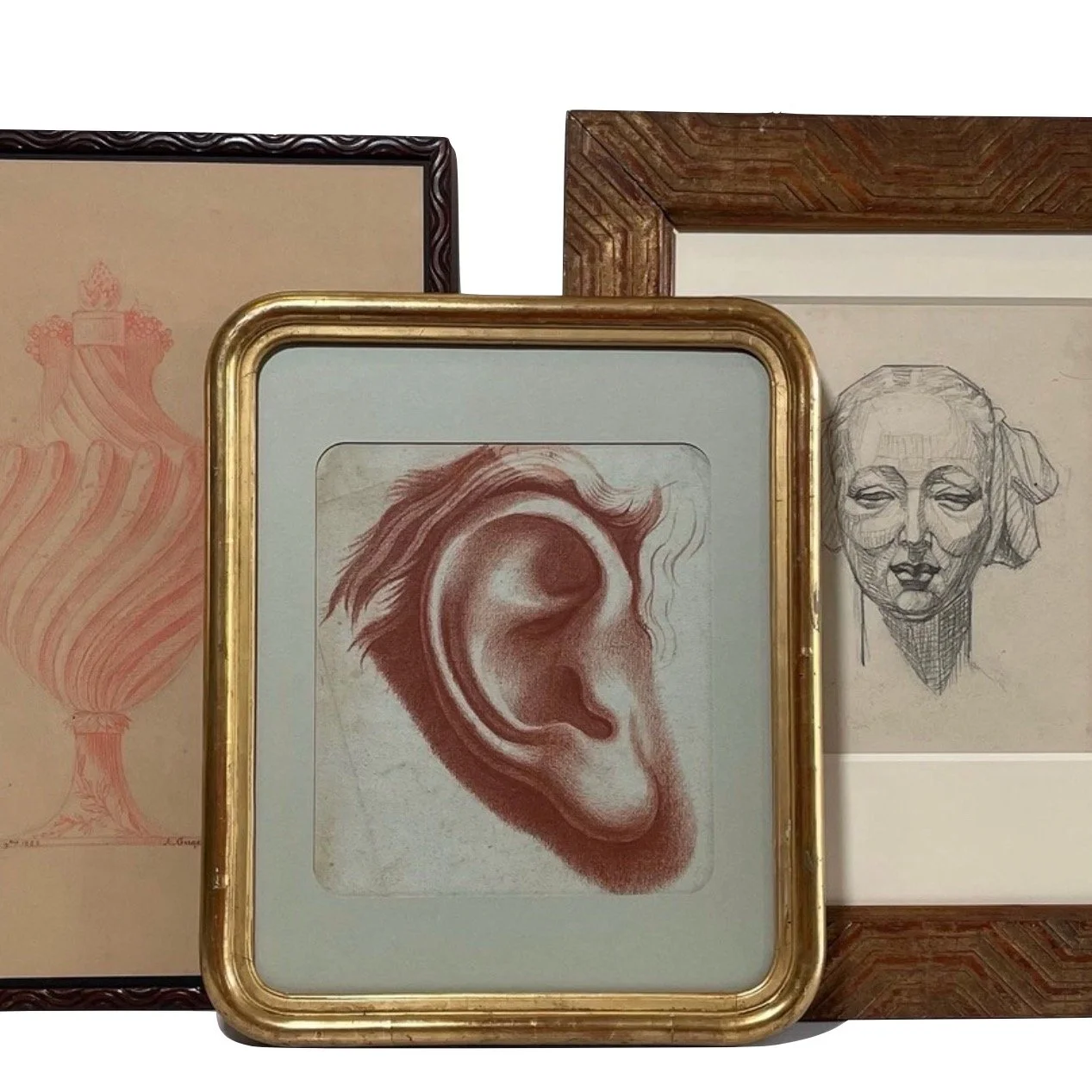 Image 1-19-22 at 11.47 AM.jpeg