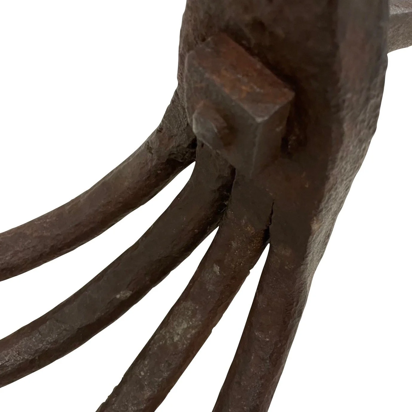 Image 1-3-23 at 3.41 PM.jpeg