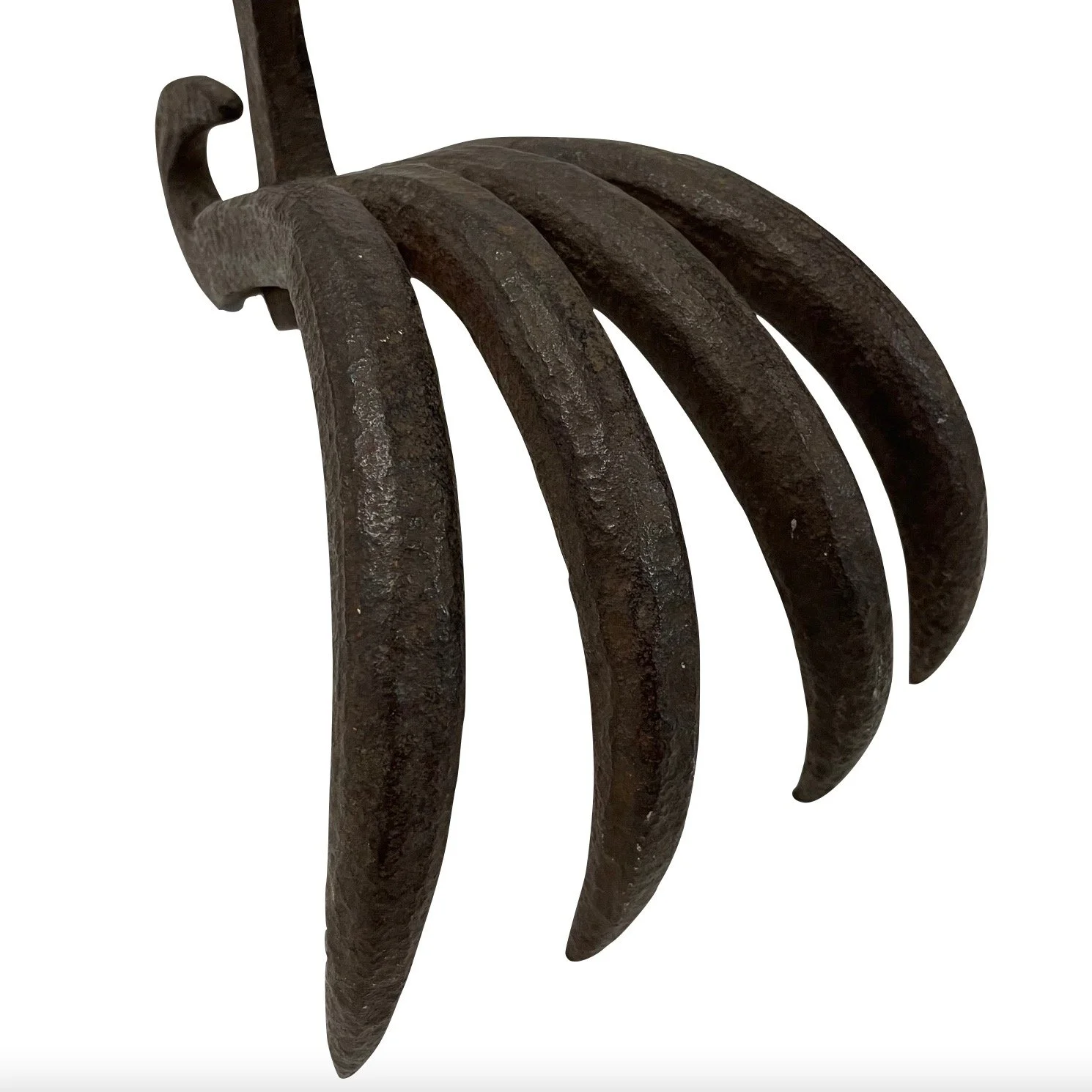 Image 1-3-23 at 3.43 PM.jpeg