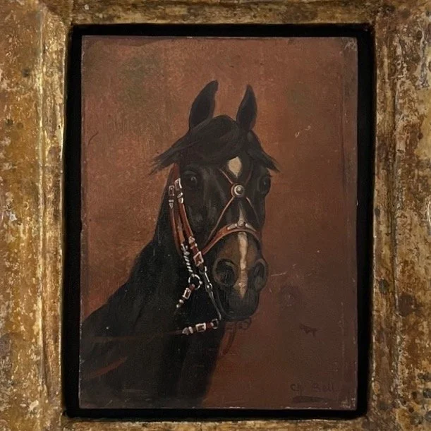 Image 5-25-23 at 8.11 PM.jpeg