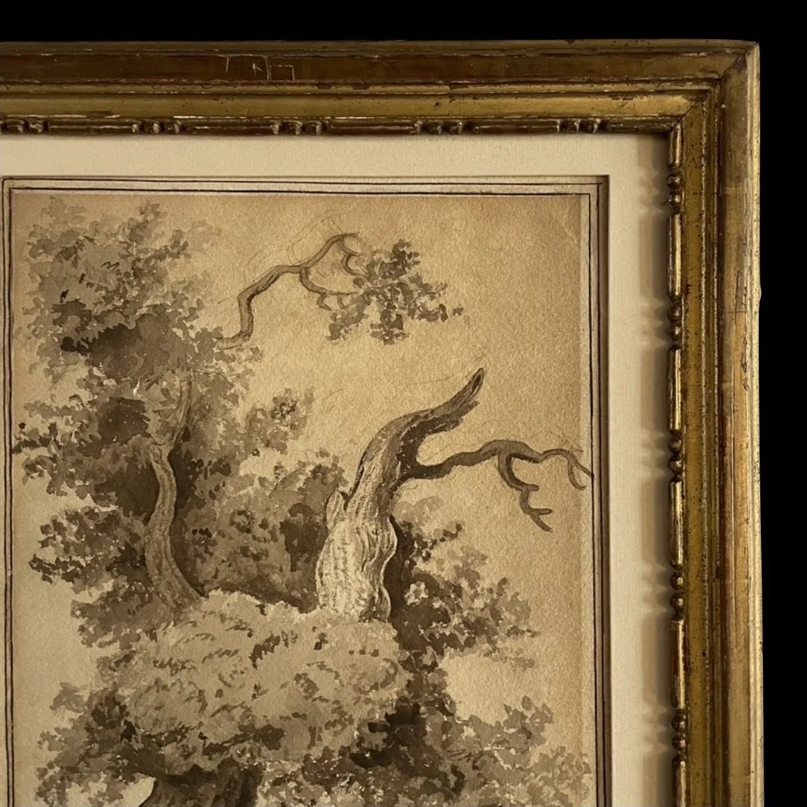 Image 1-6-26 at 11.09 AM.jpeg