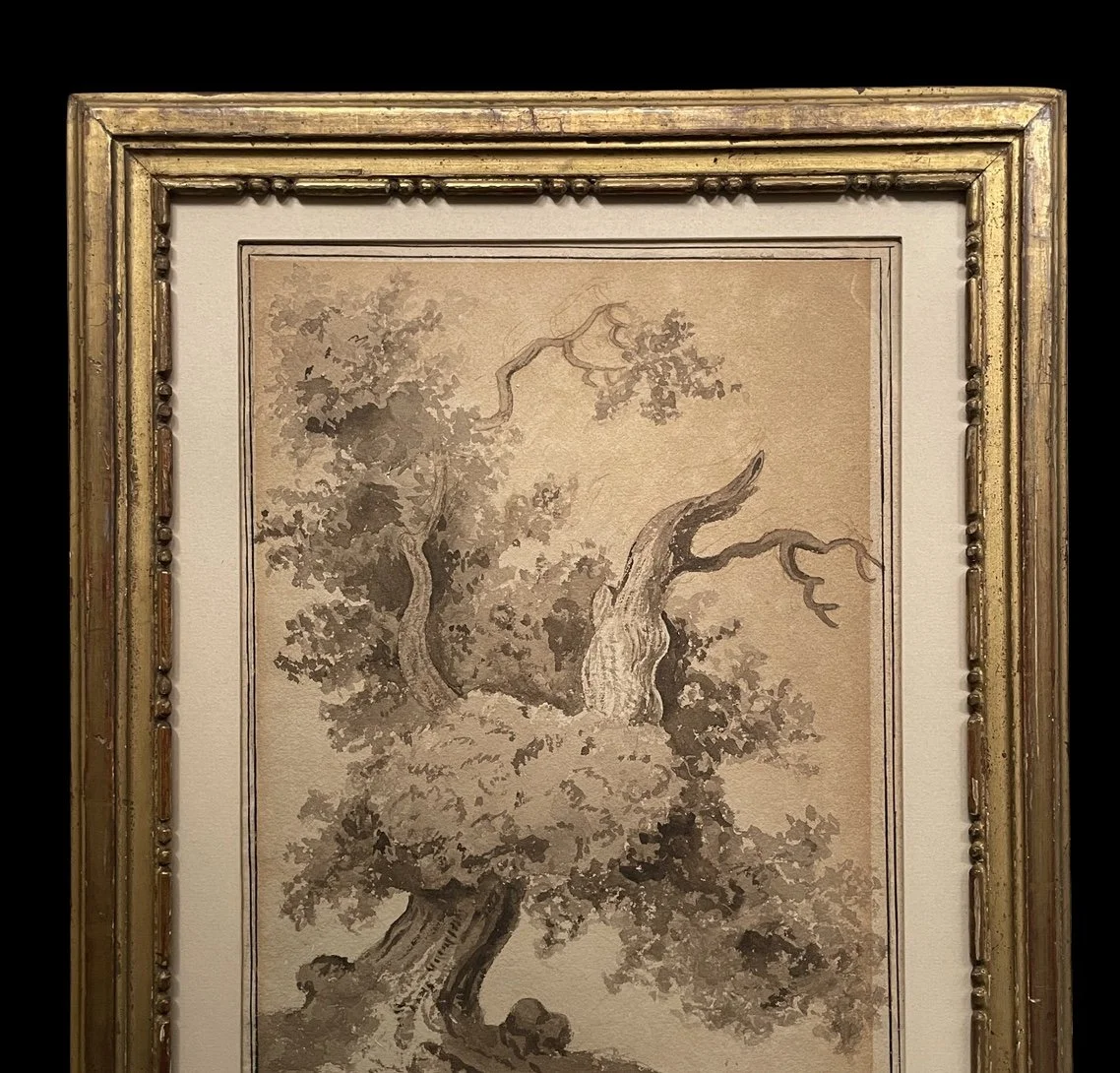 Image 1-6-26 at 11.13 AM.jpeg