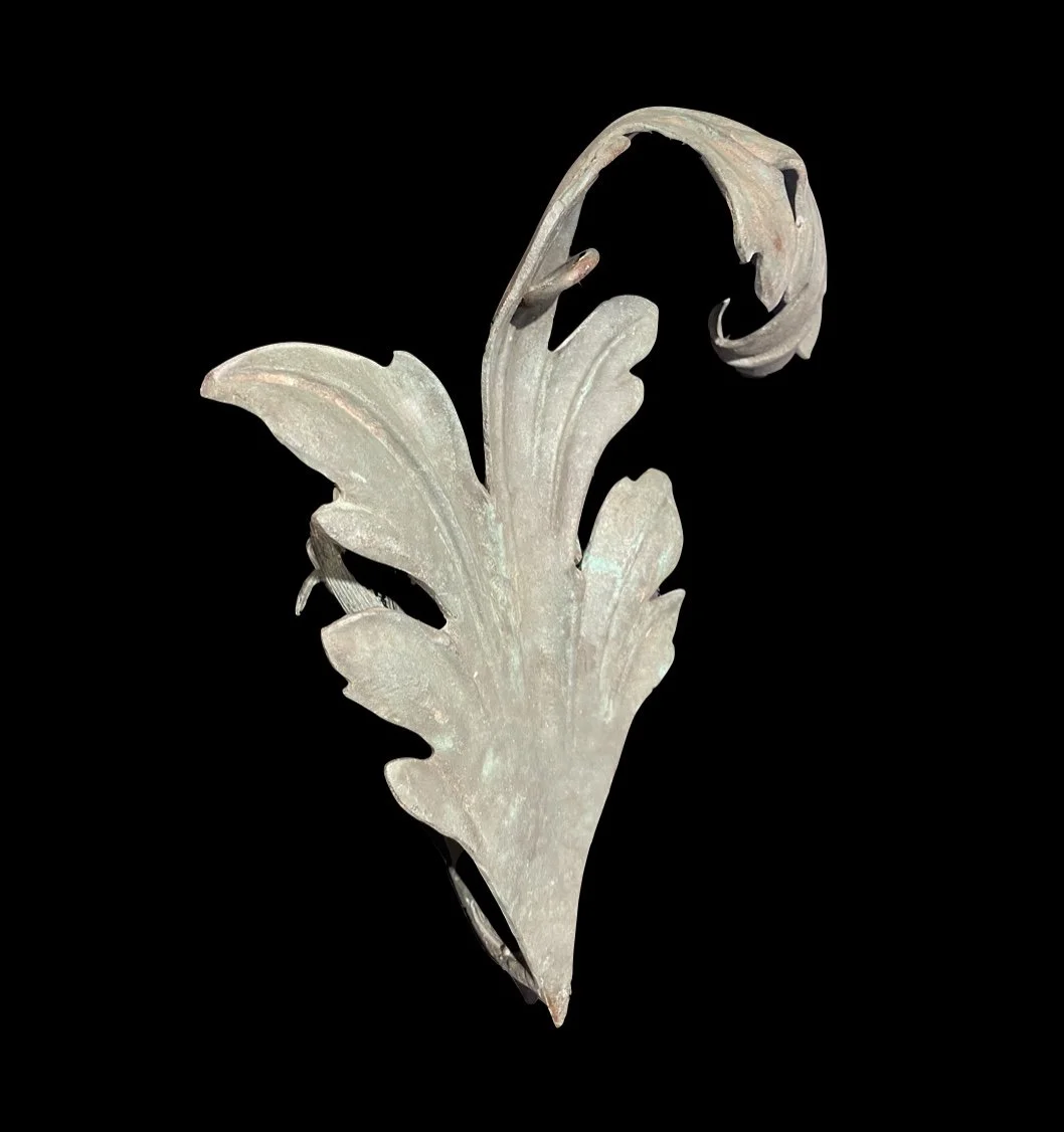 Image 2-26-26 at 10.11 AM.jpeg