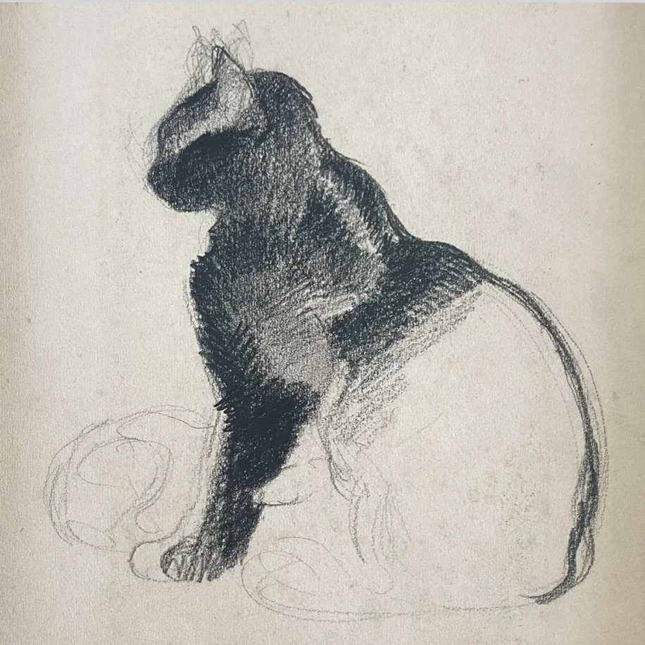 Image 3-25-26 at 3.39 PM.jpeg