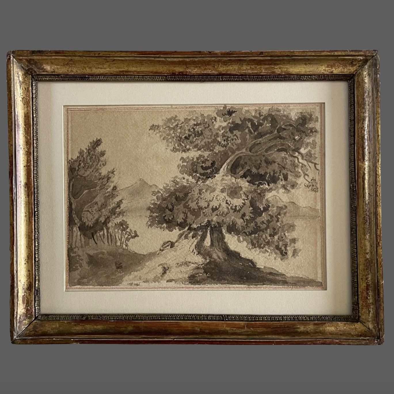 Image 3-25-26 at 3.35 PM.jpeg