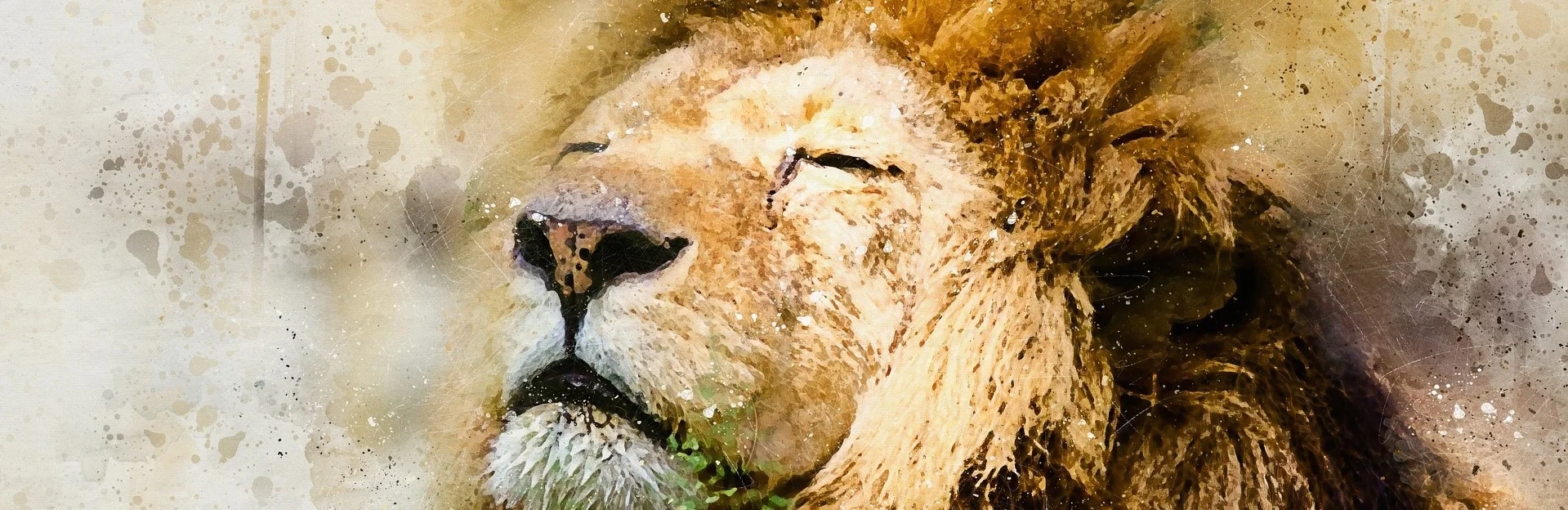 lion-1577197_1920.jpg