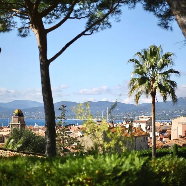 Welcome to St.Tropez ☀️⚓️
.
.
@judithniedl 
#sttropez #harbor #palmtrees #yachtclub #fiat500