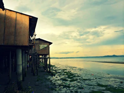 WINNER of the Edinburgh Fieldwork Prize: Ginger, Viscera Suckers, and the Anthropological Self
